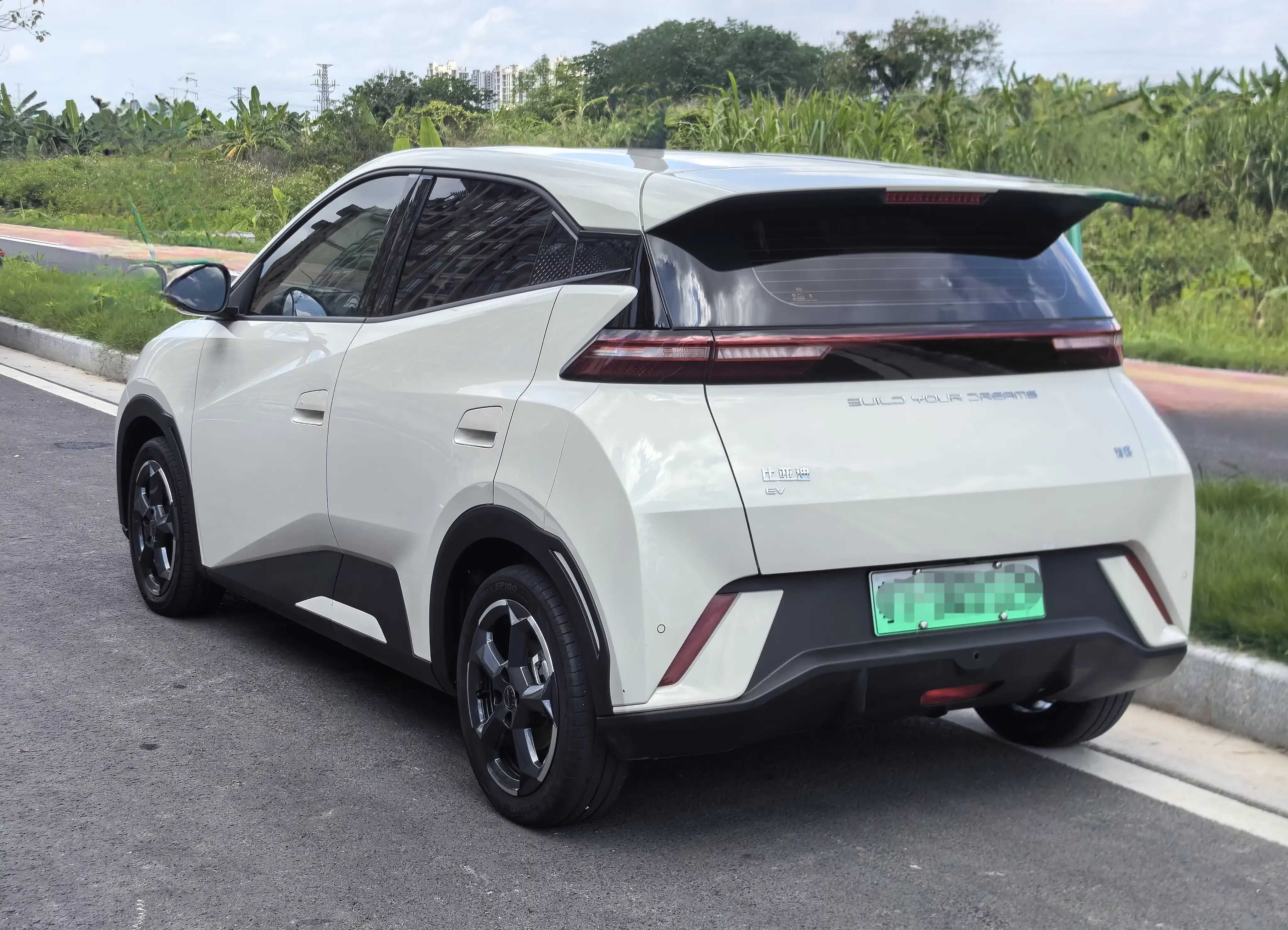 BYD seagull