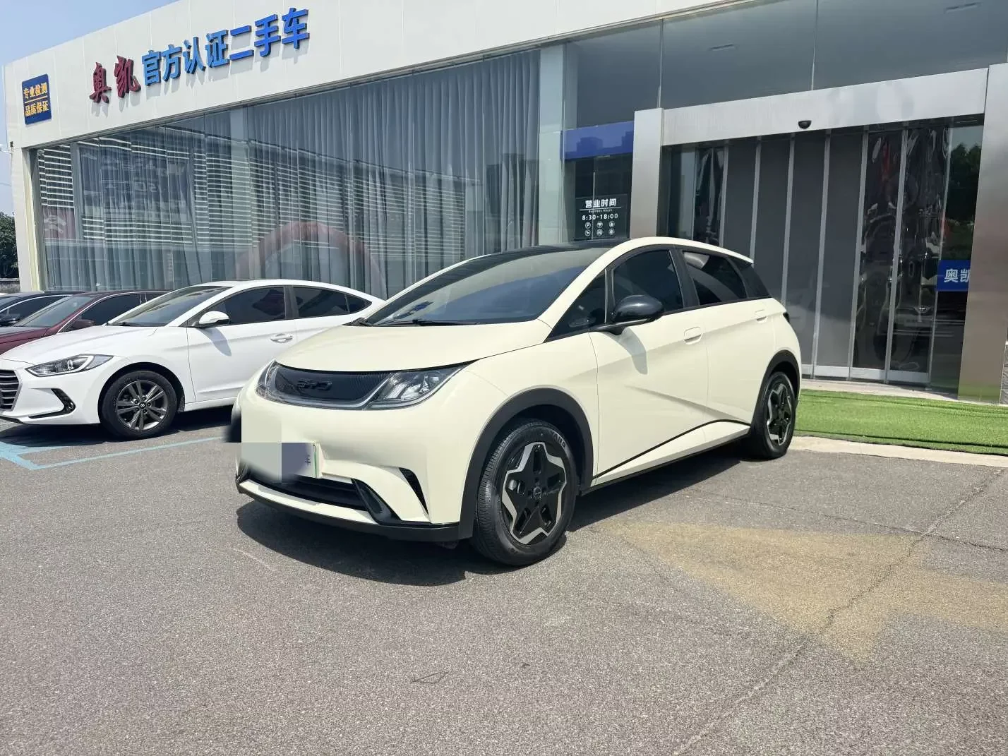 BYD dolphin