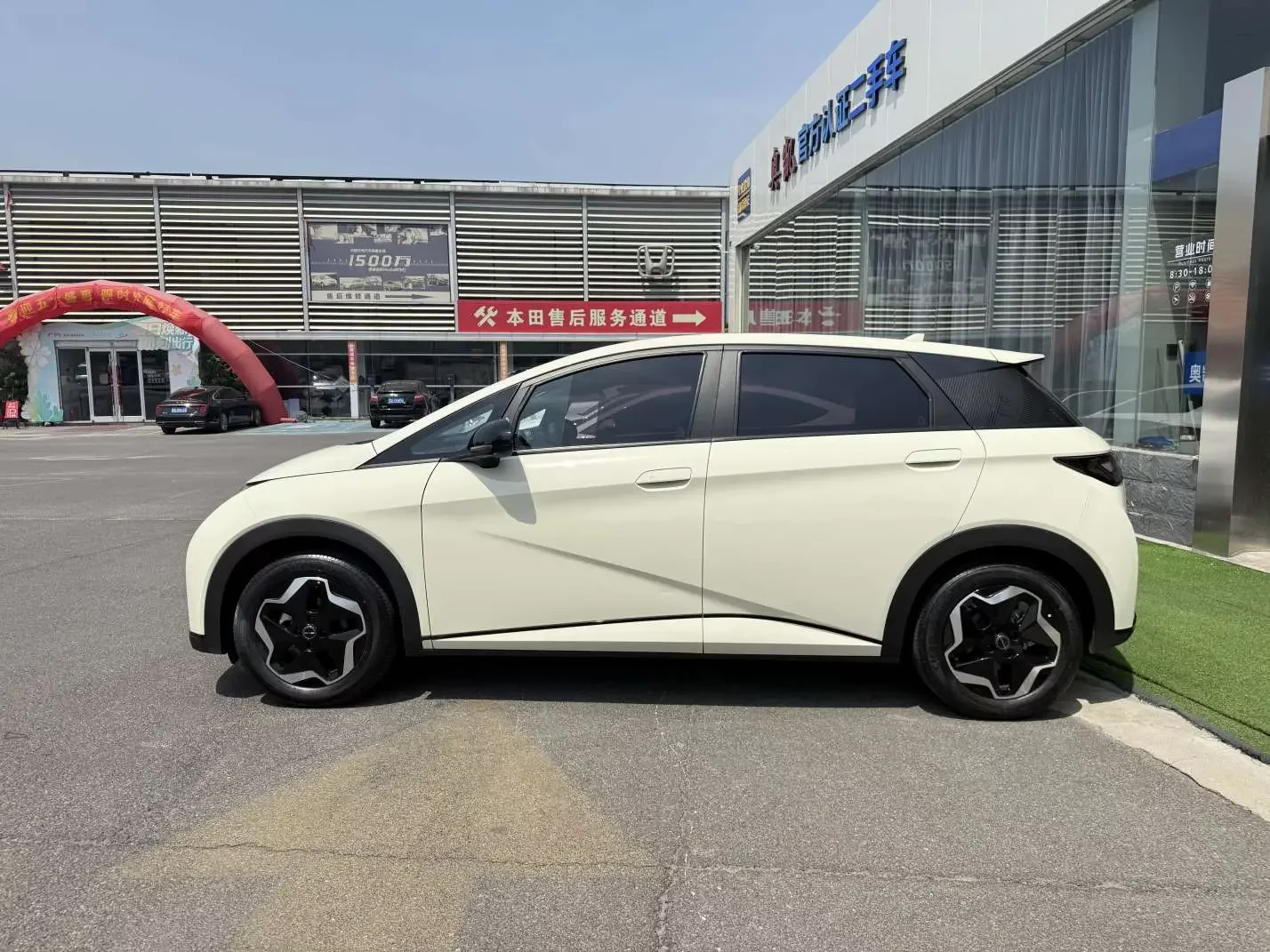 BYD dolphin