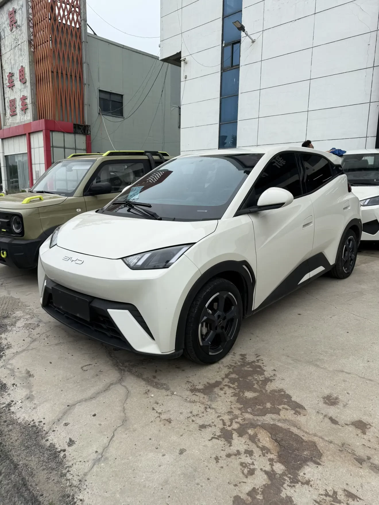 BYD seagull