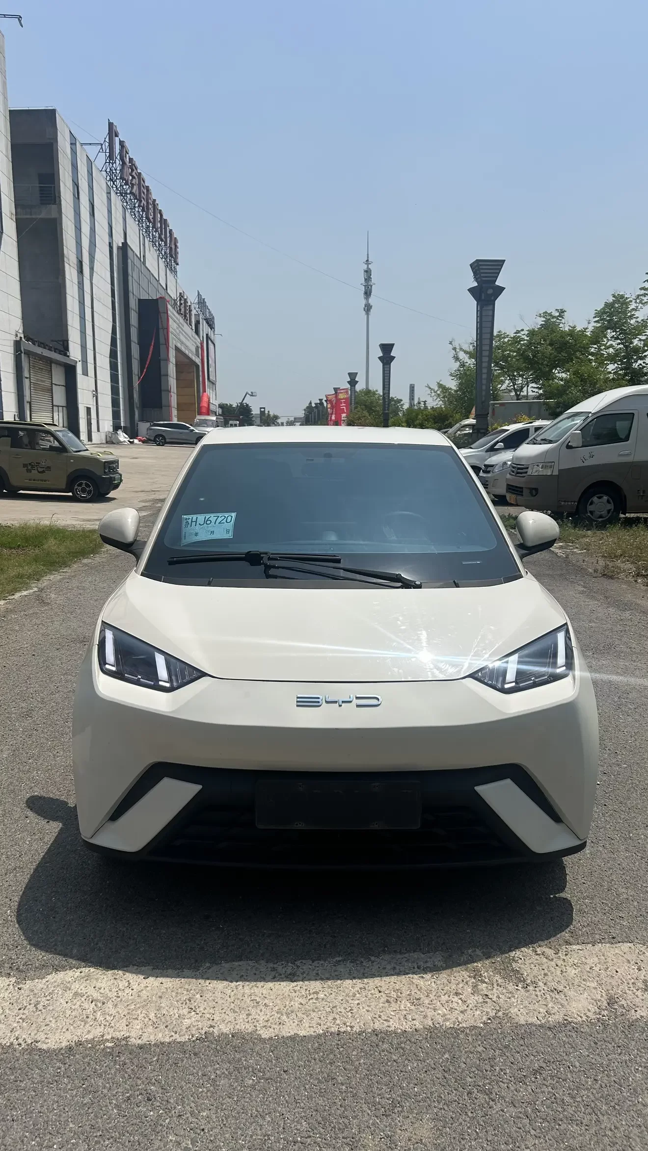 BYD seagull