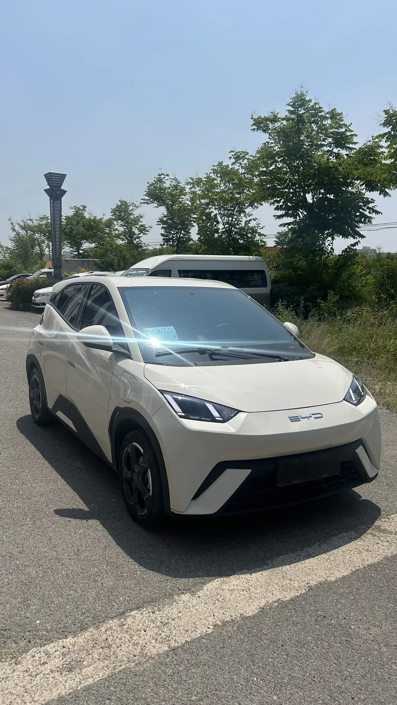 BYD seagull