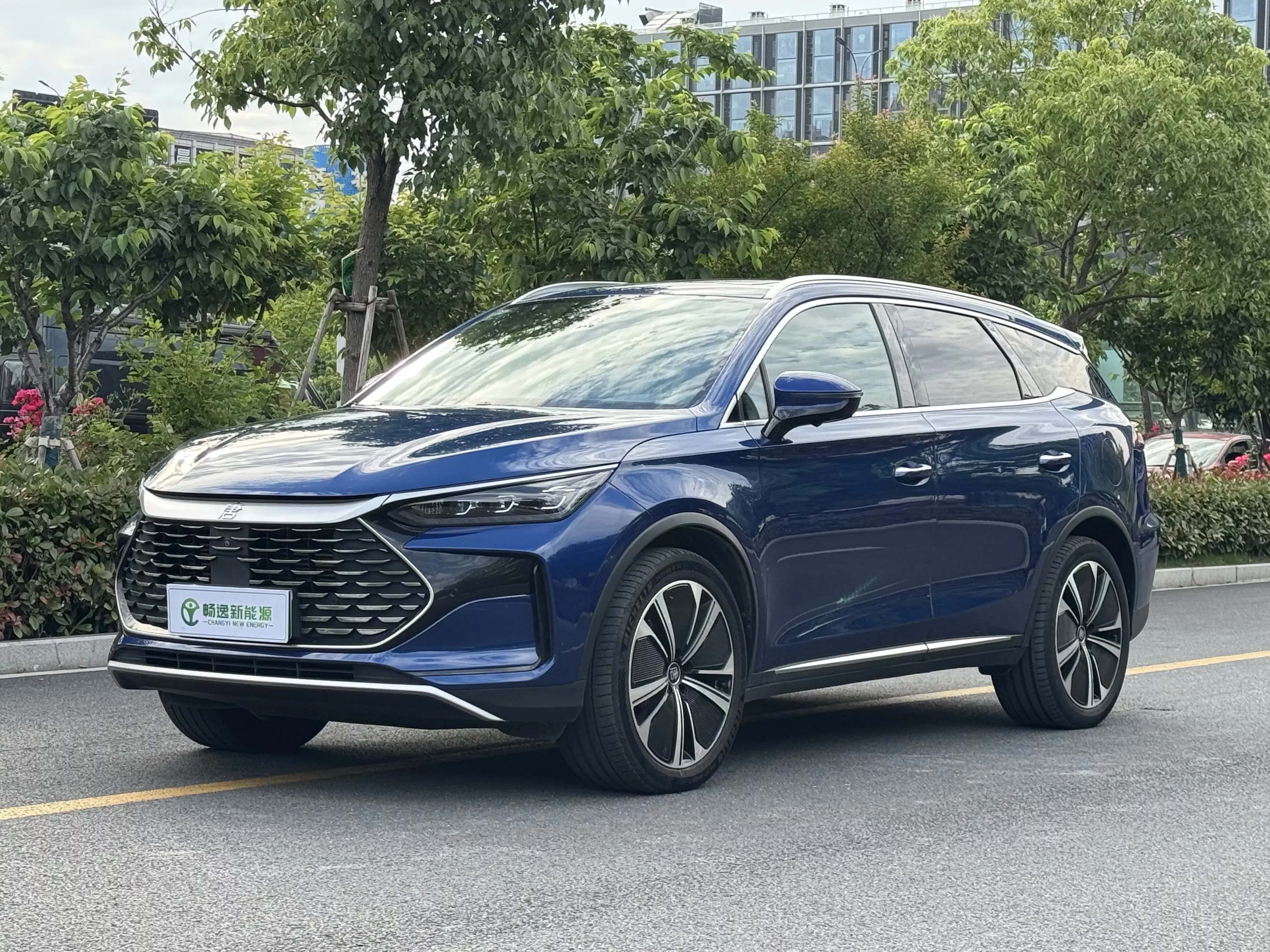 BYD Tang DM