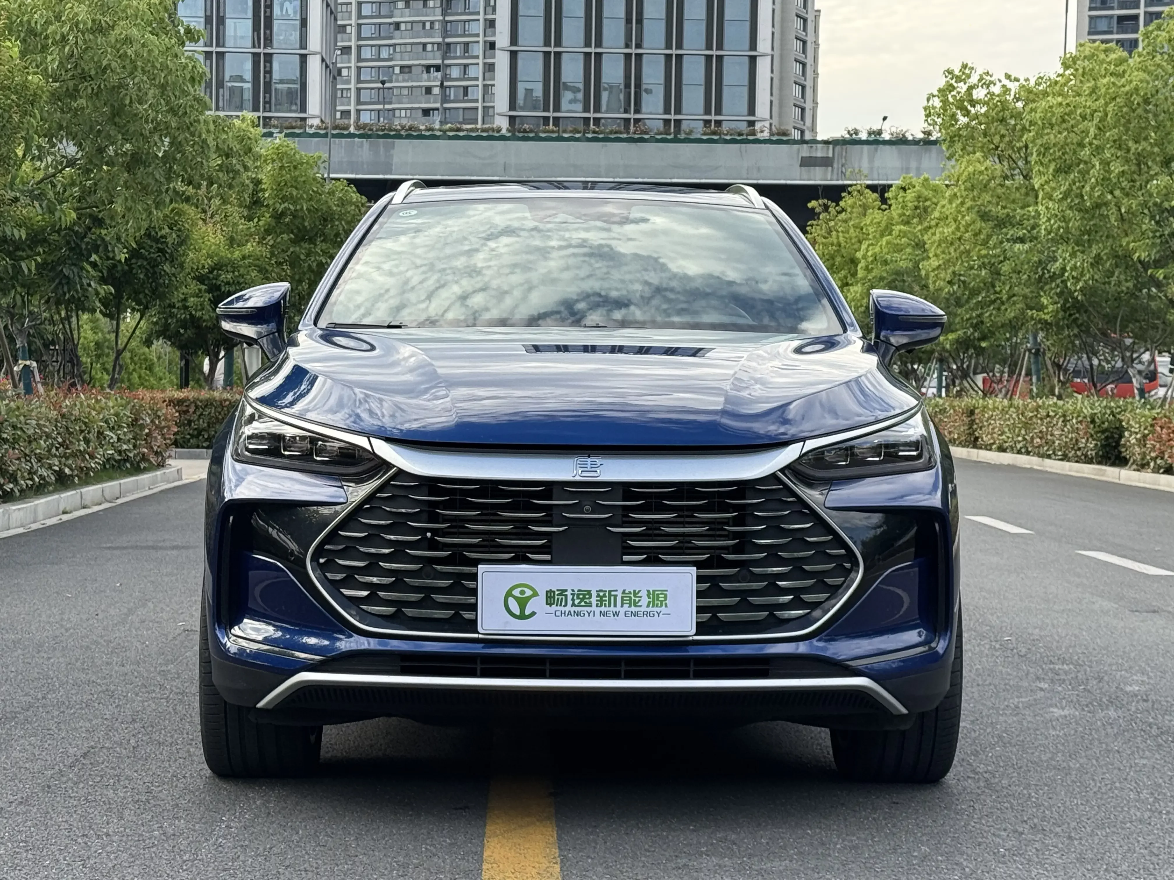 BYD Tang DM