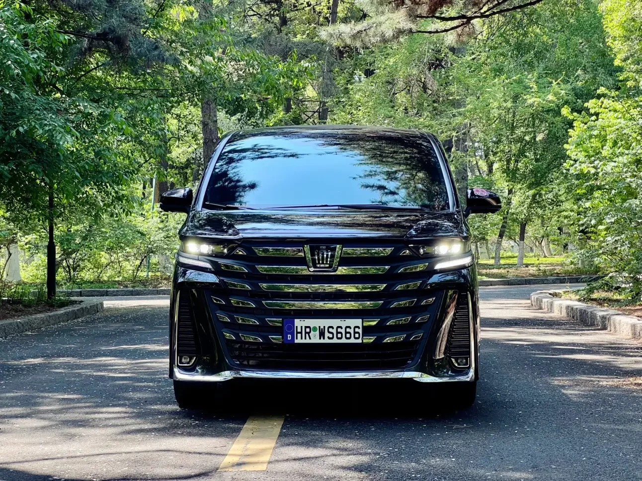 Toyota Crown Wellfire