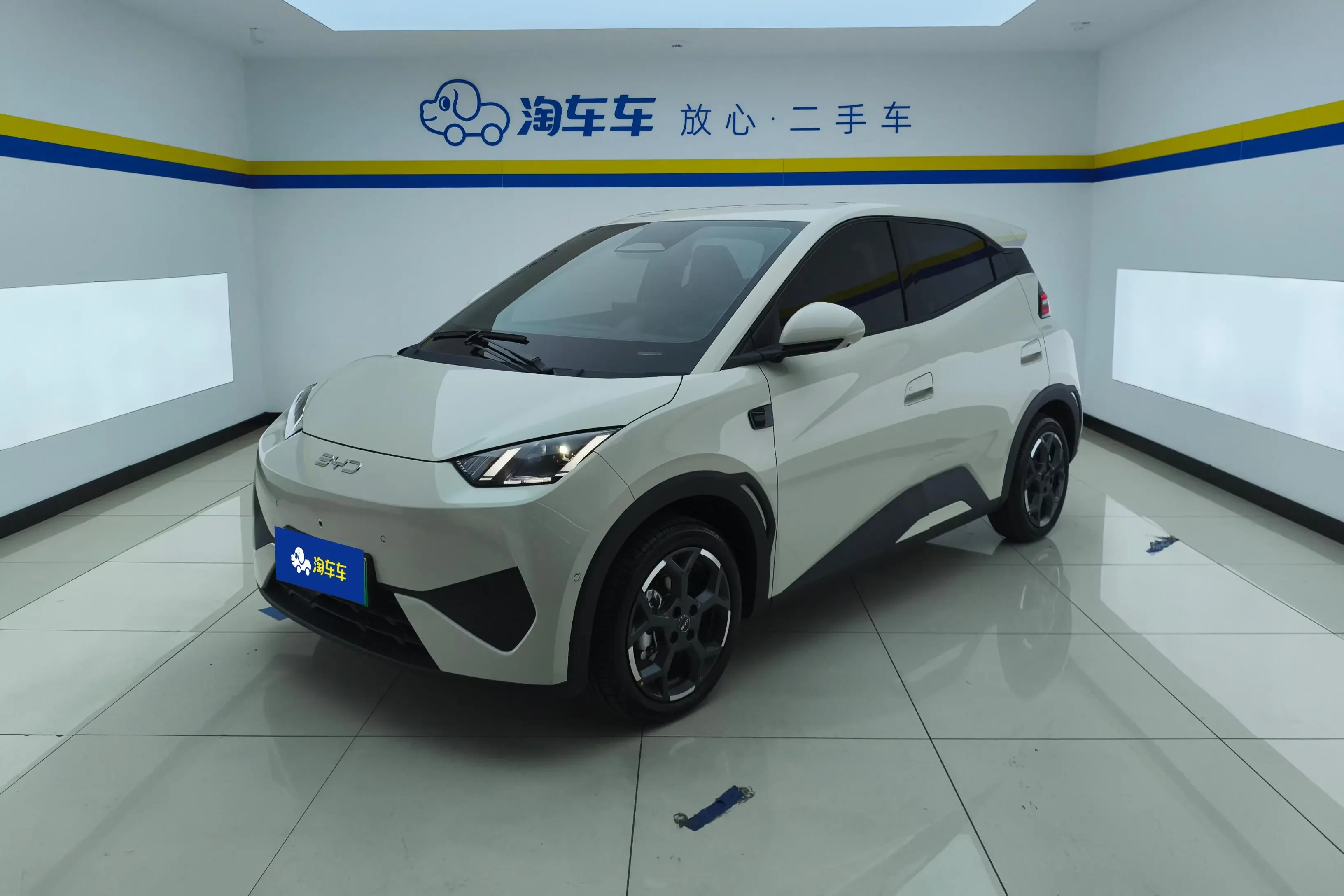 BYD seagull