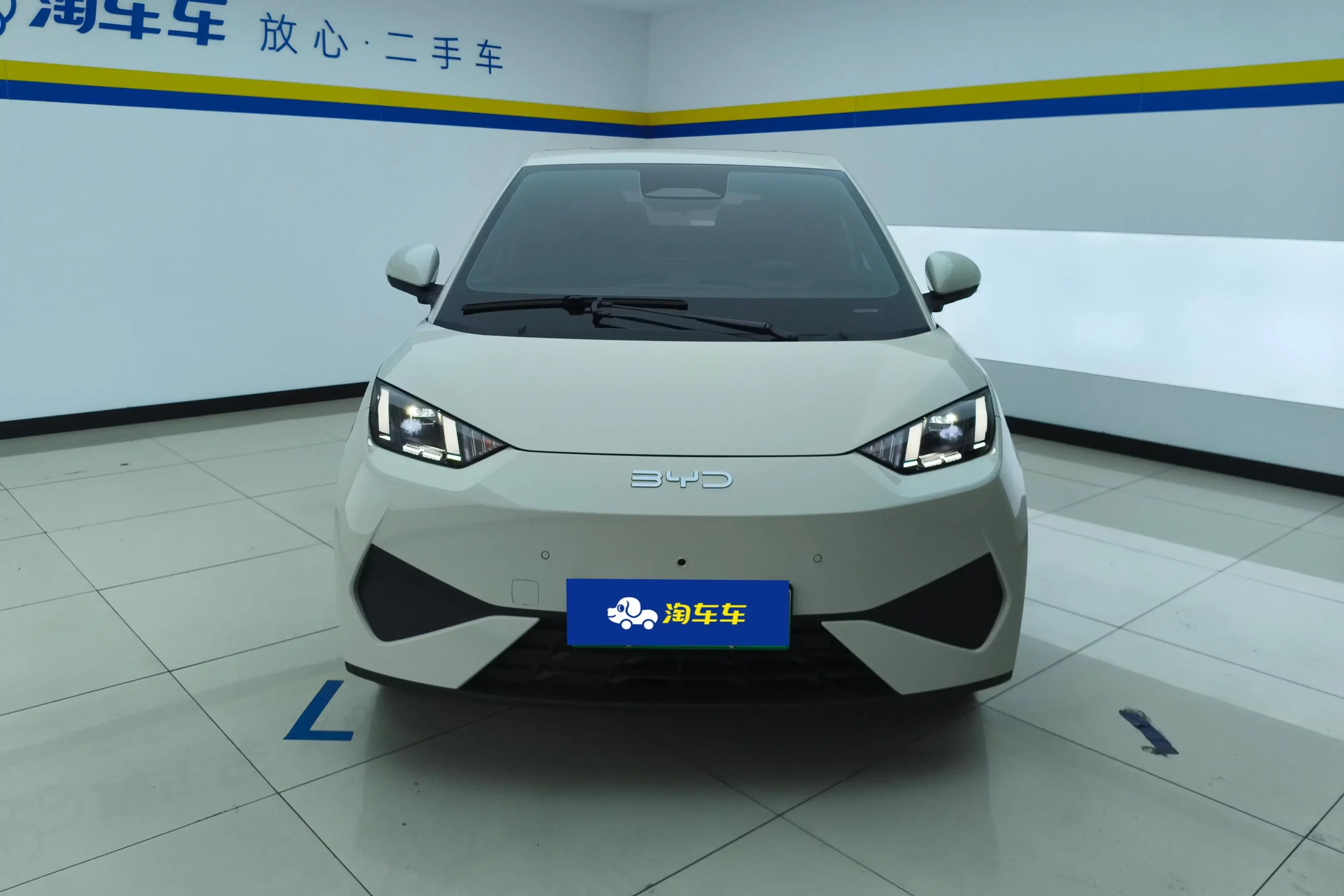 BYD seagull
