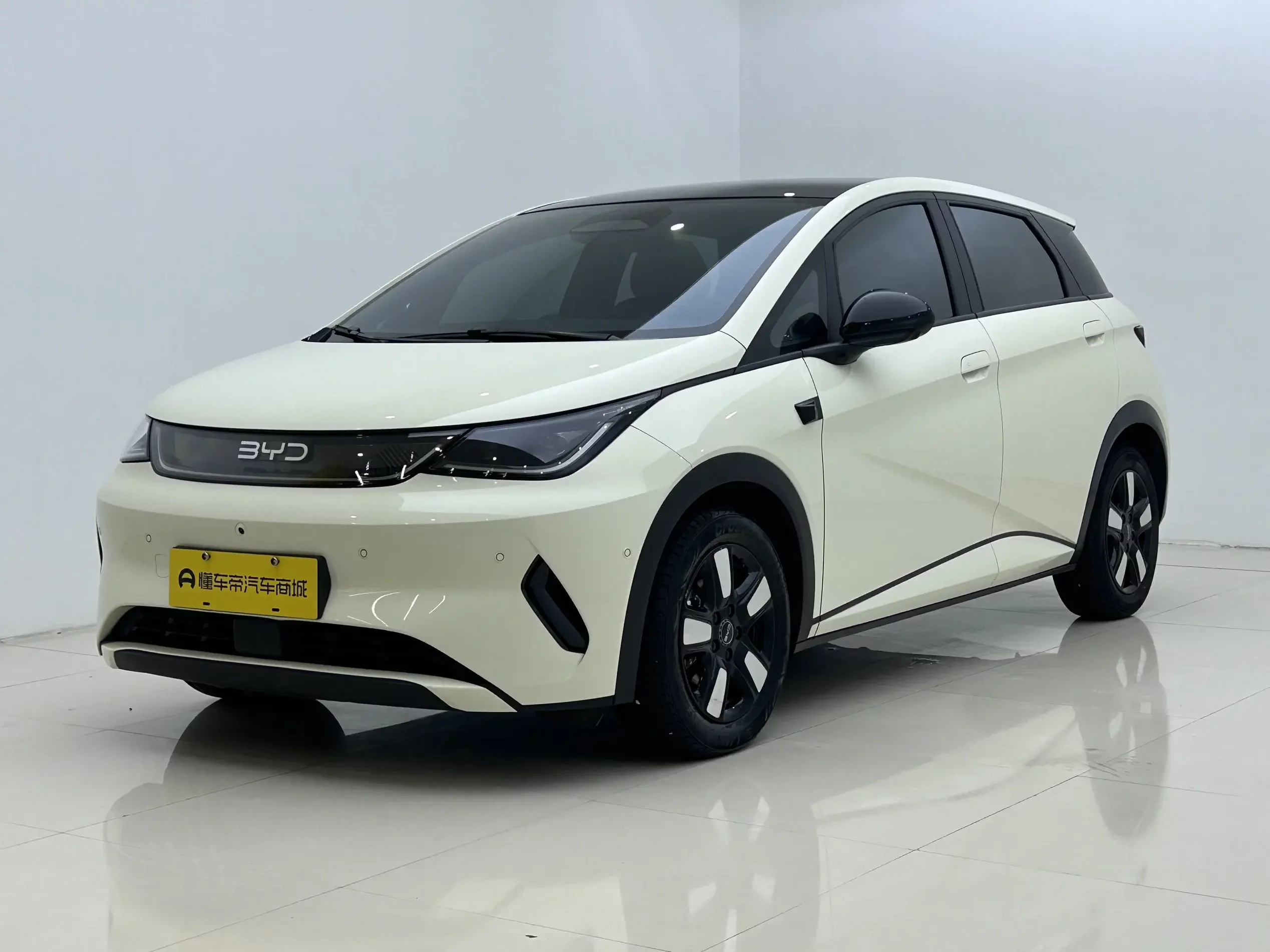 BYD dolphin