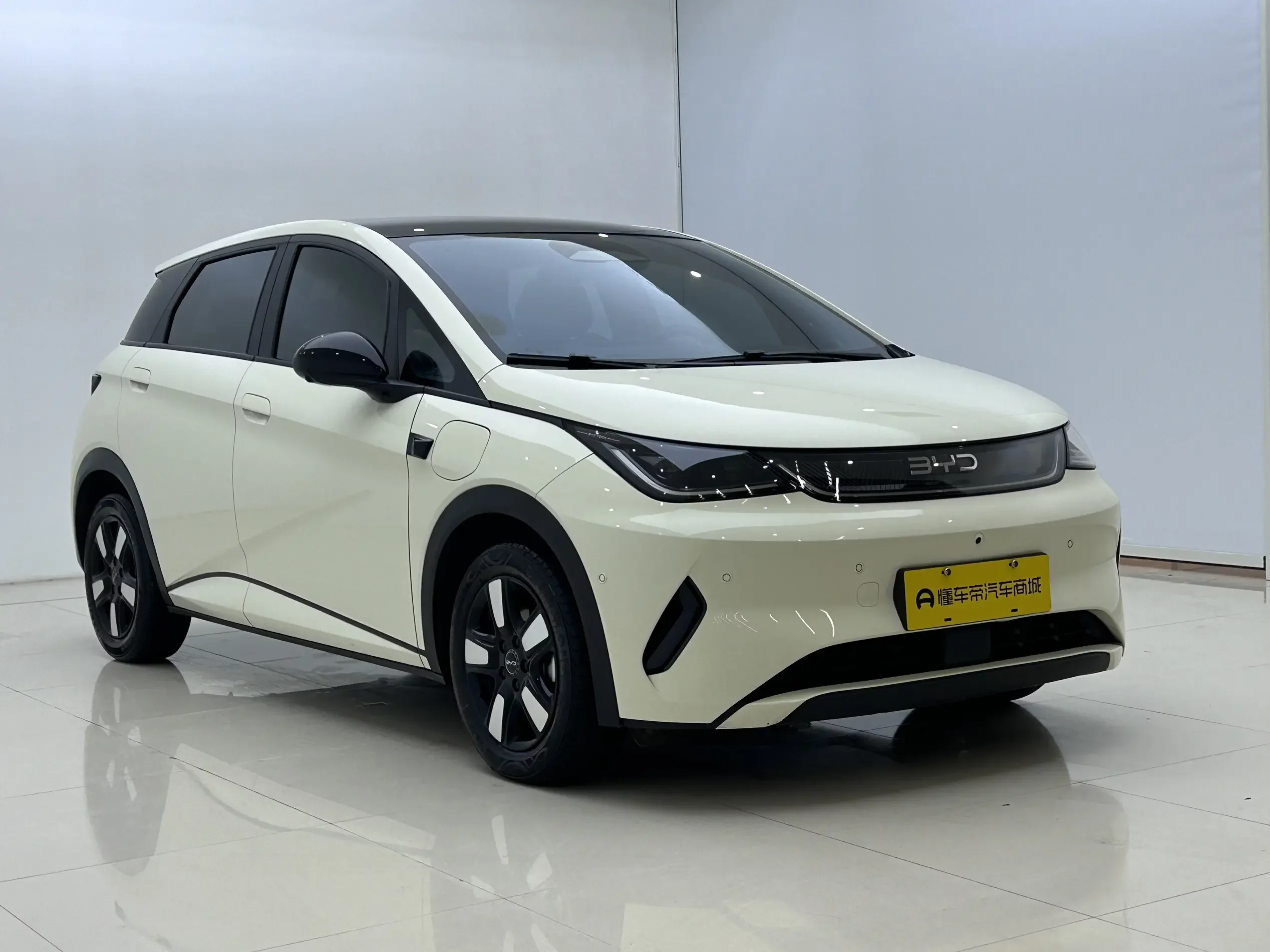 BYD dolphin