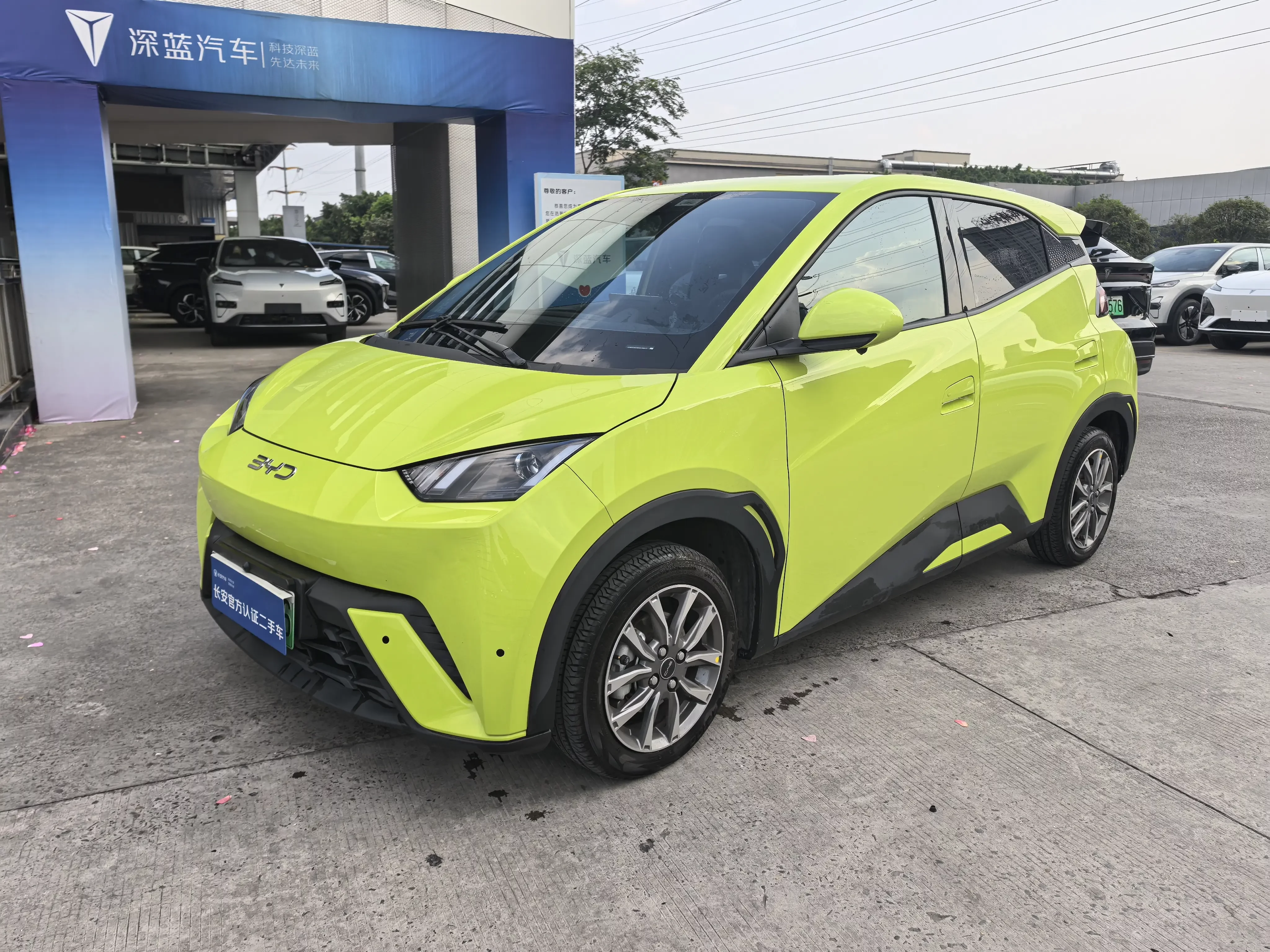 BYD seagull