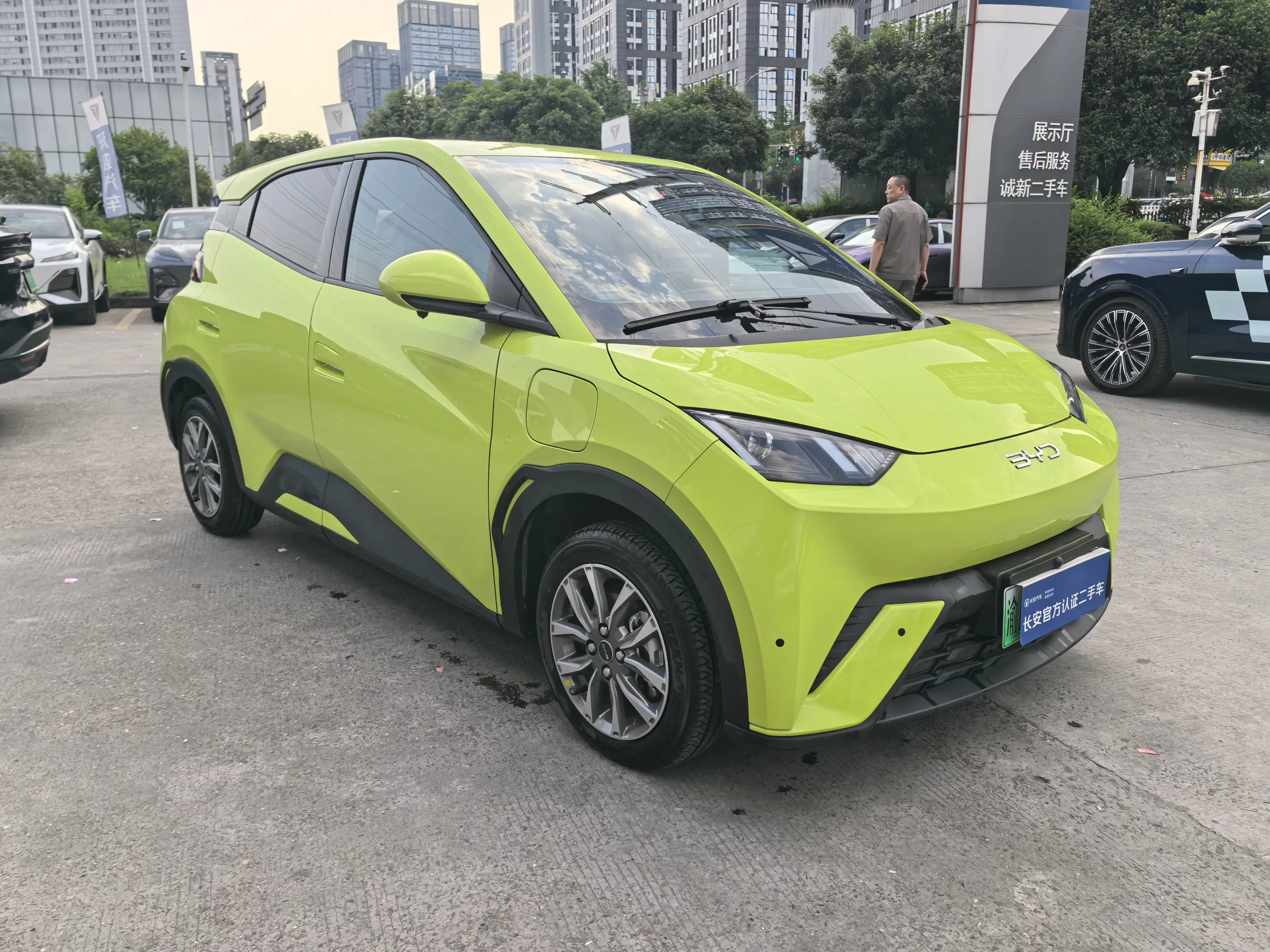 BYD seagull
