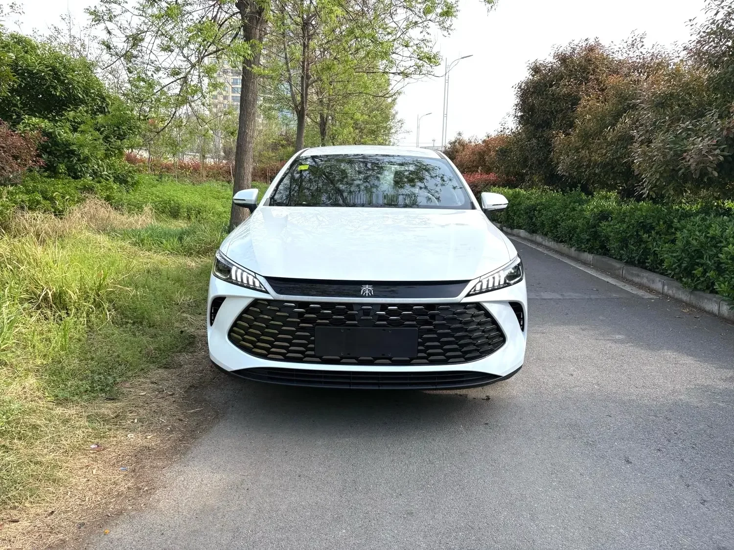 BYD Qin PLUS DM