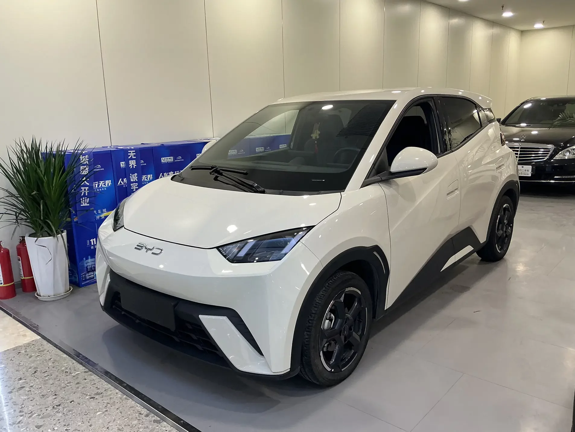 BYD seagull