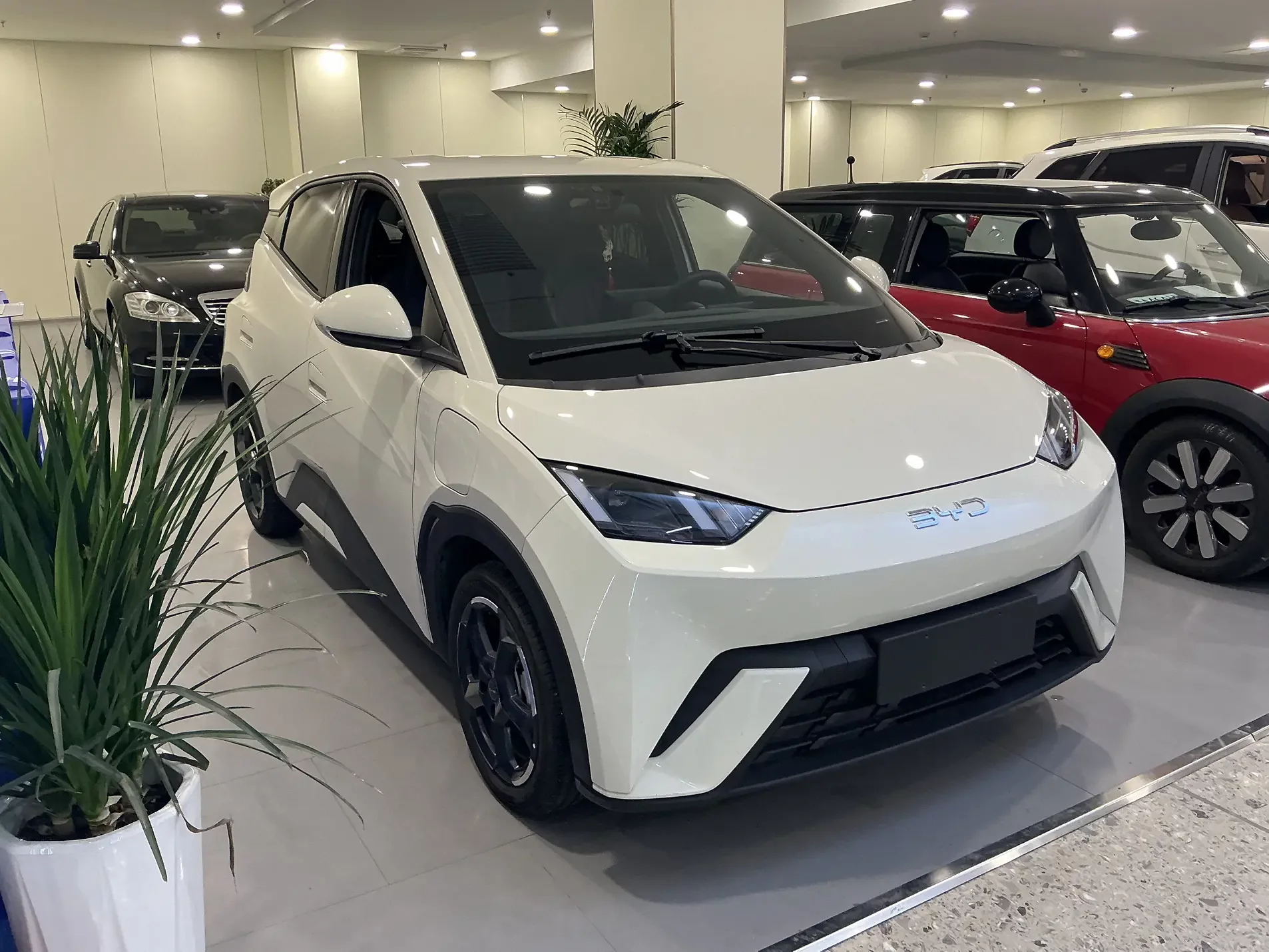 BYD seagull