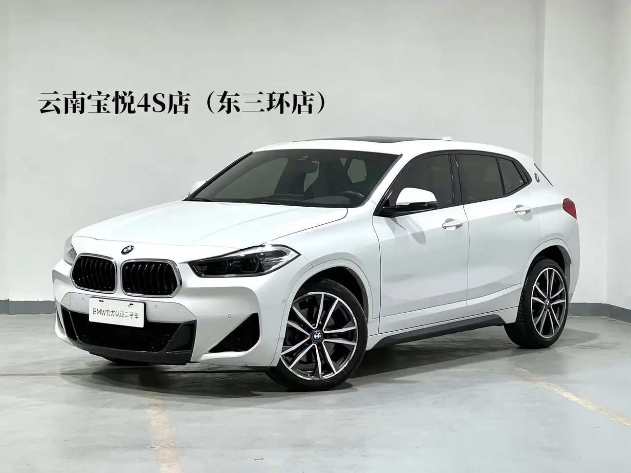 BMW X2