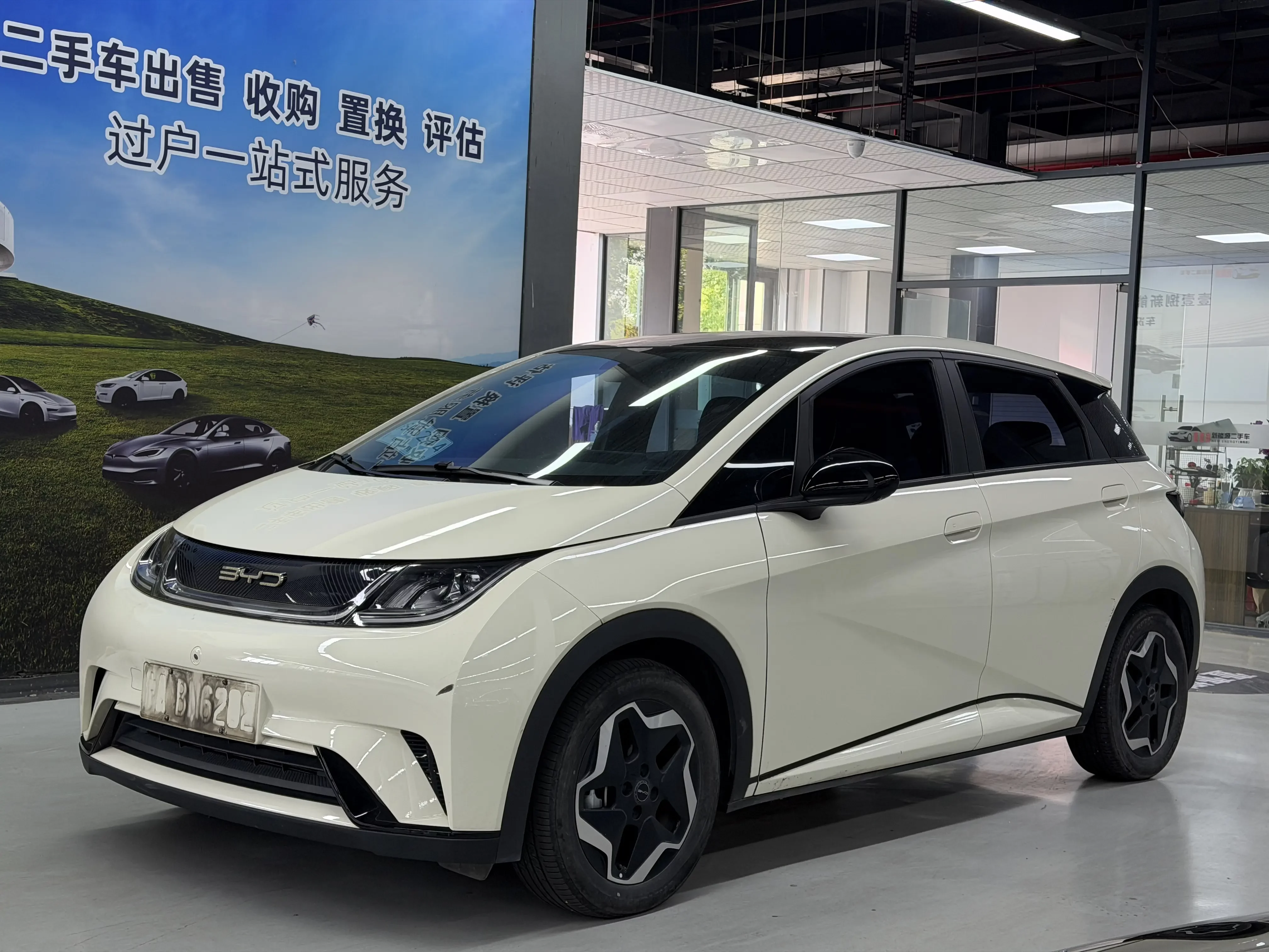 BYD dolphin