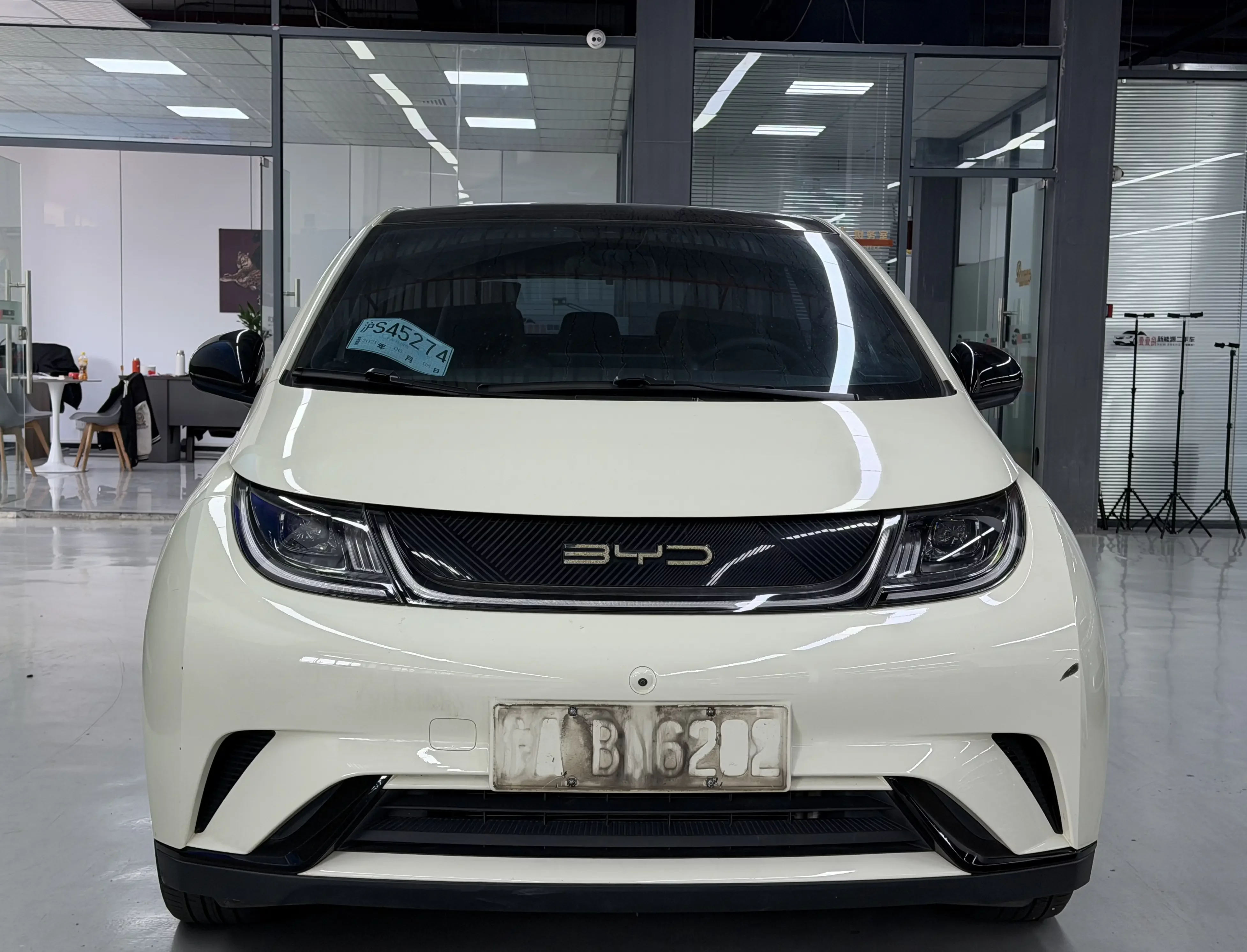 BYD dolphin