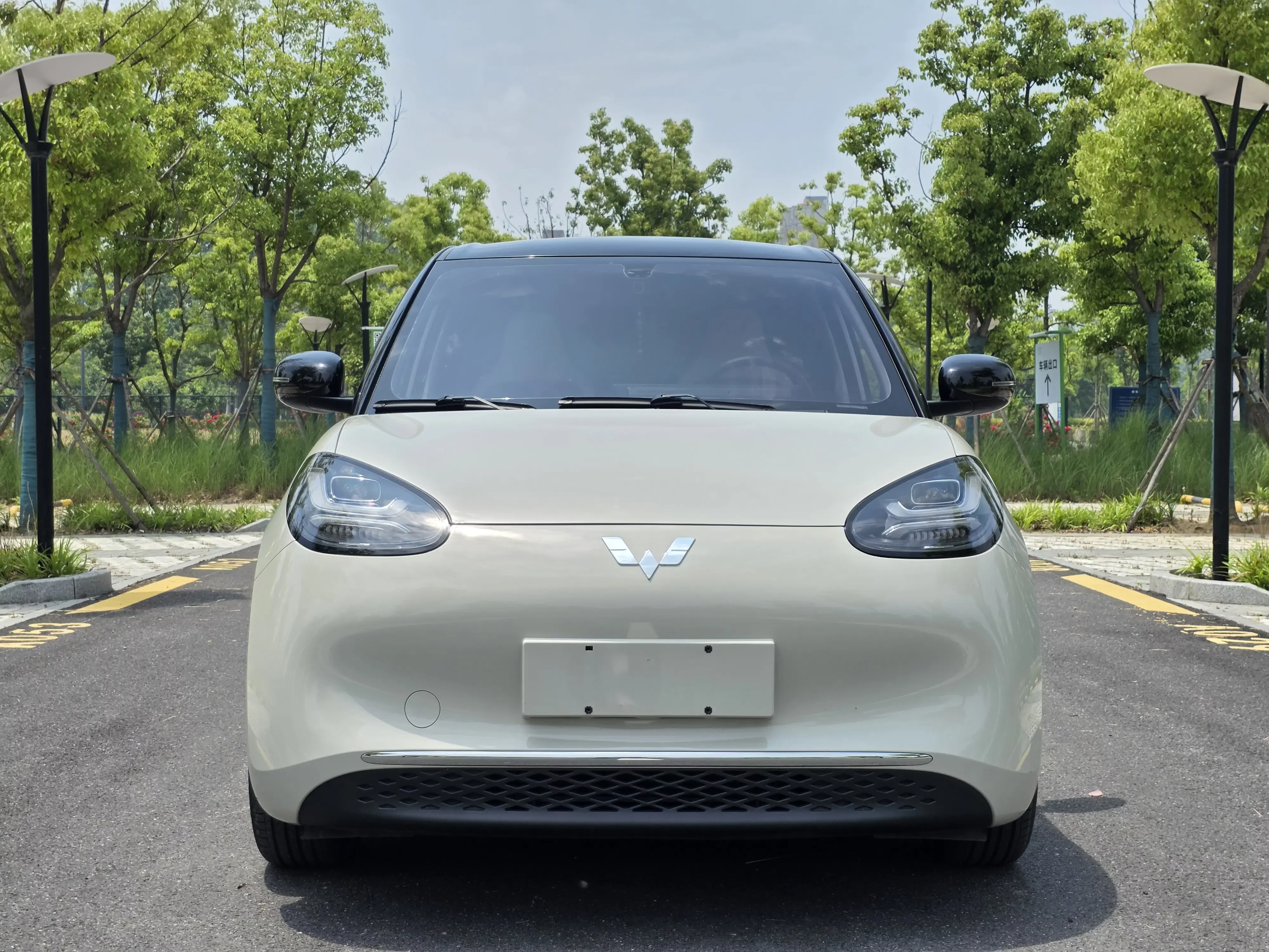 Wuling Bingo