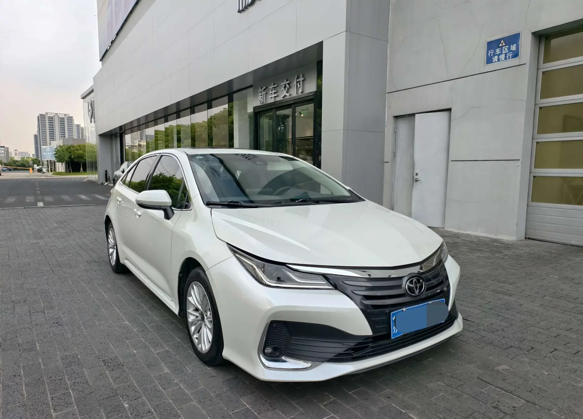 Toyota Asiatic lion