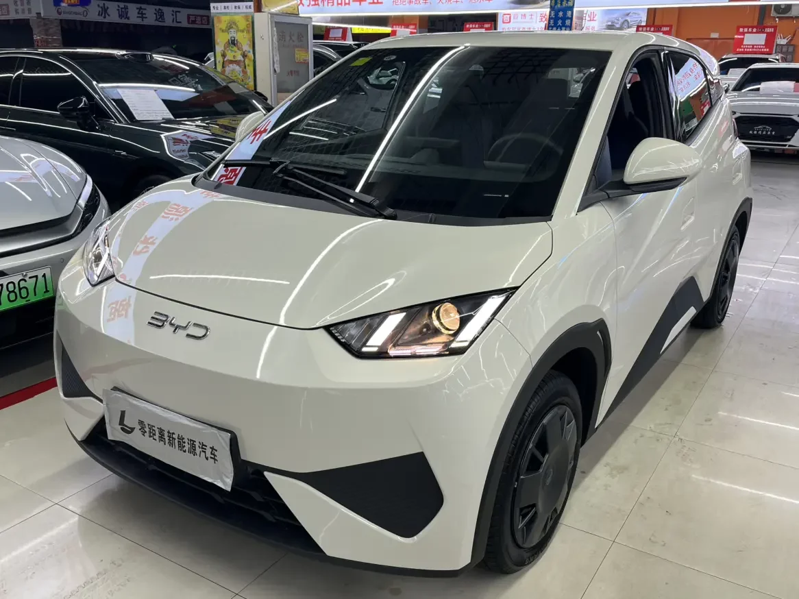 BYD seagull