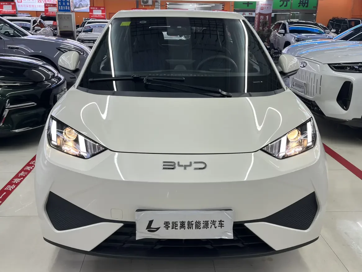 BYD seagull