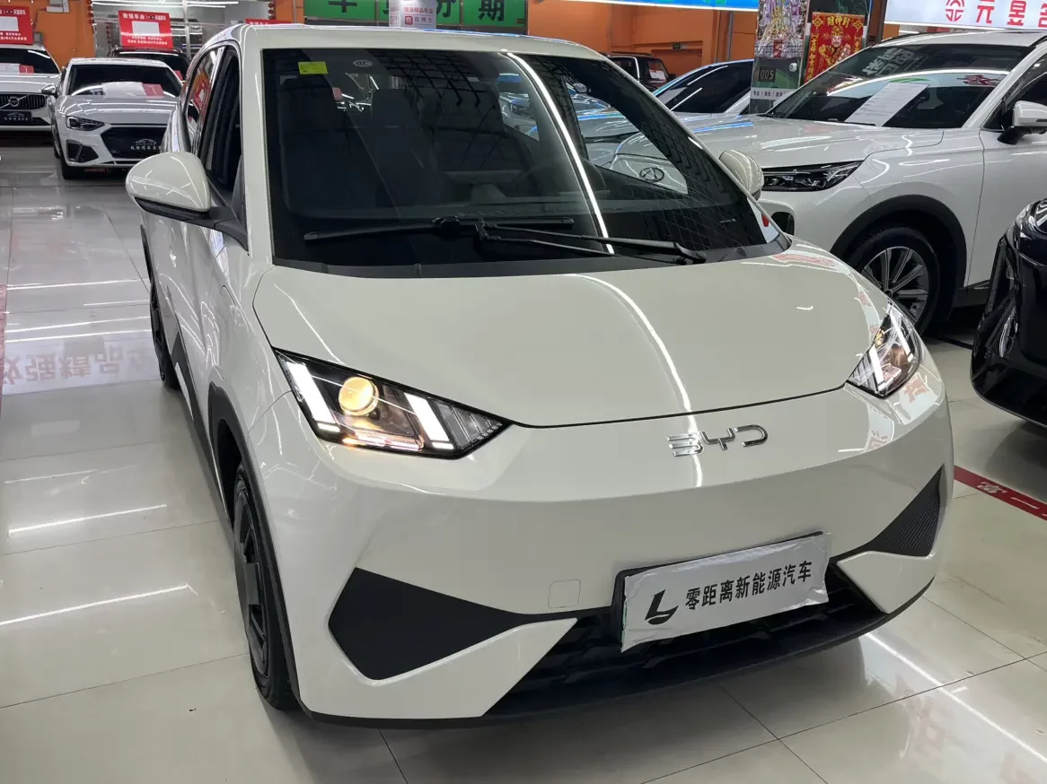 BYD seagull
