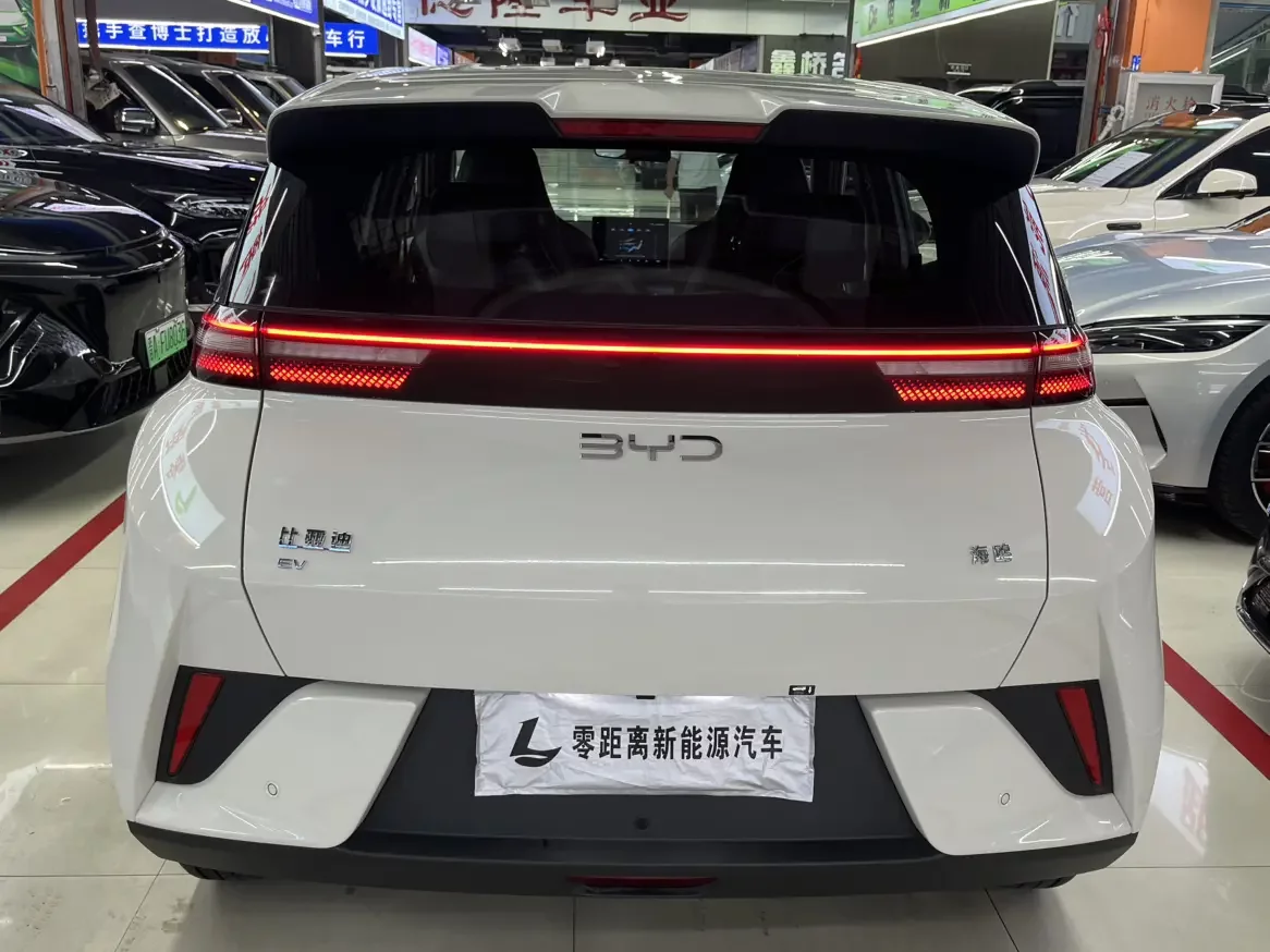 BYD seagull