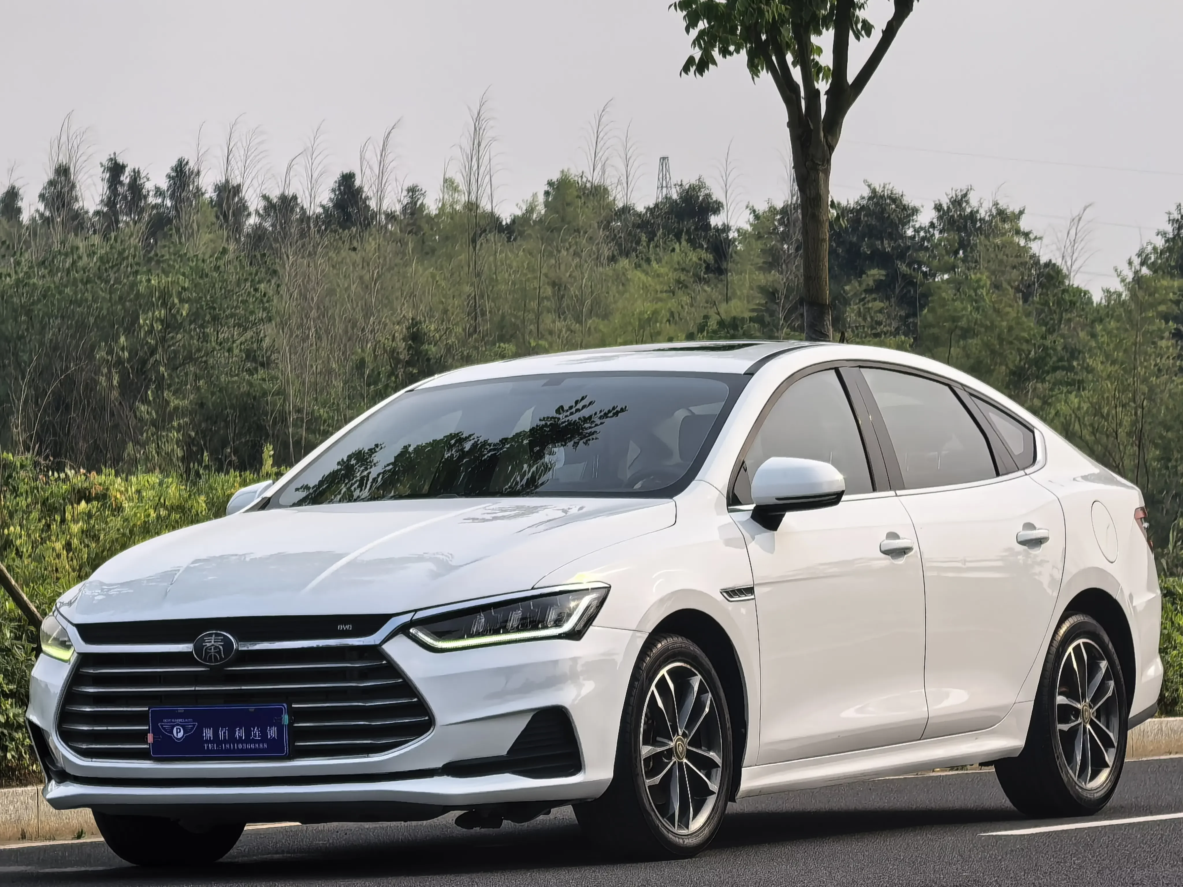 BYD Qin Pro