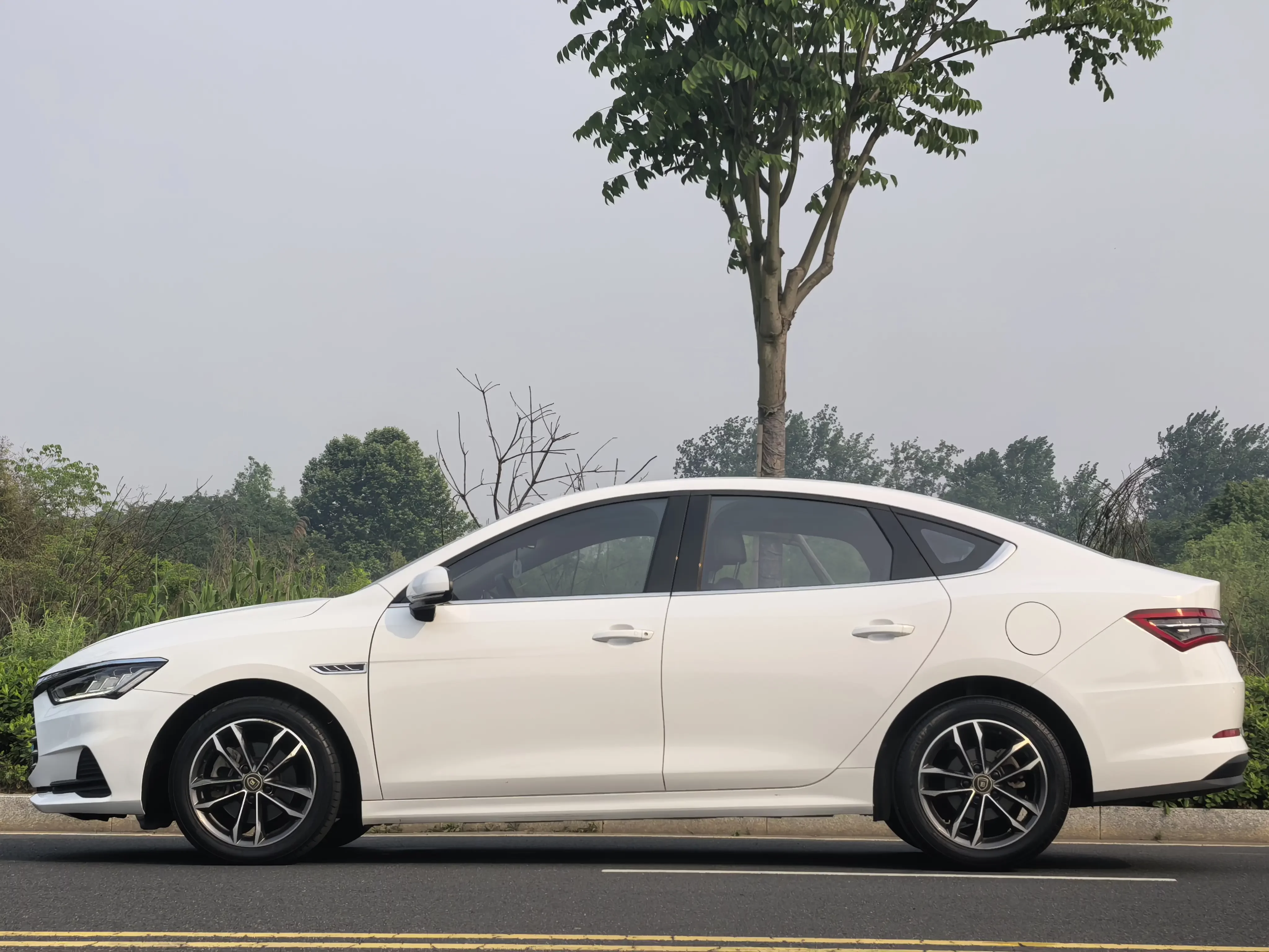 BYD Qin Pro