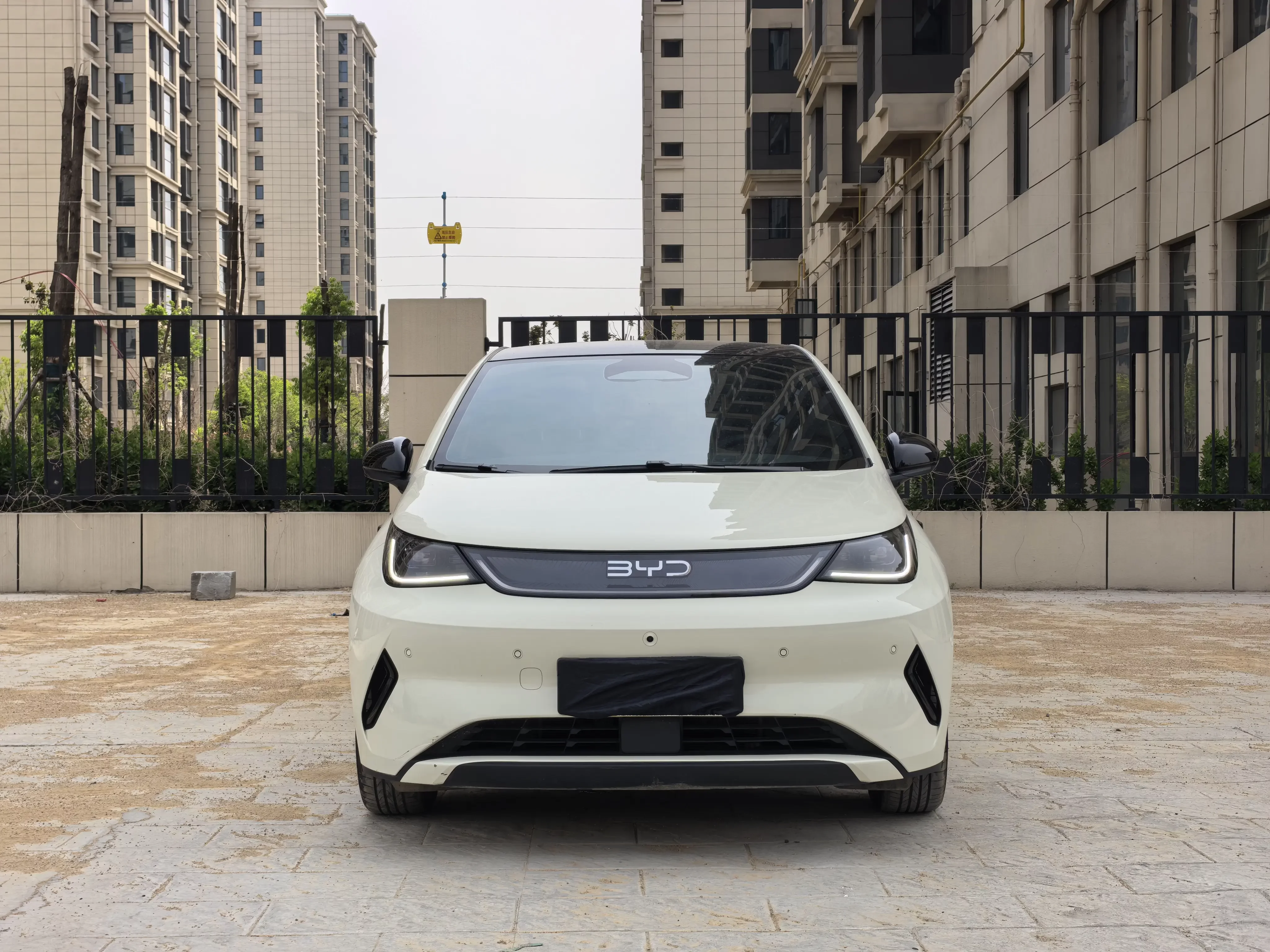 BYD dolphin