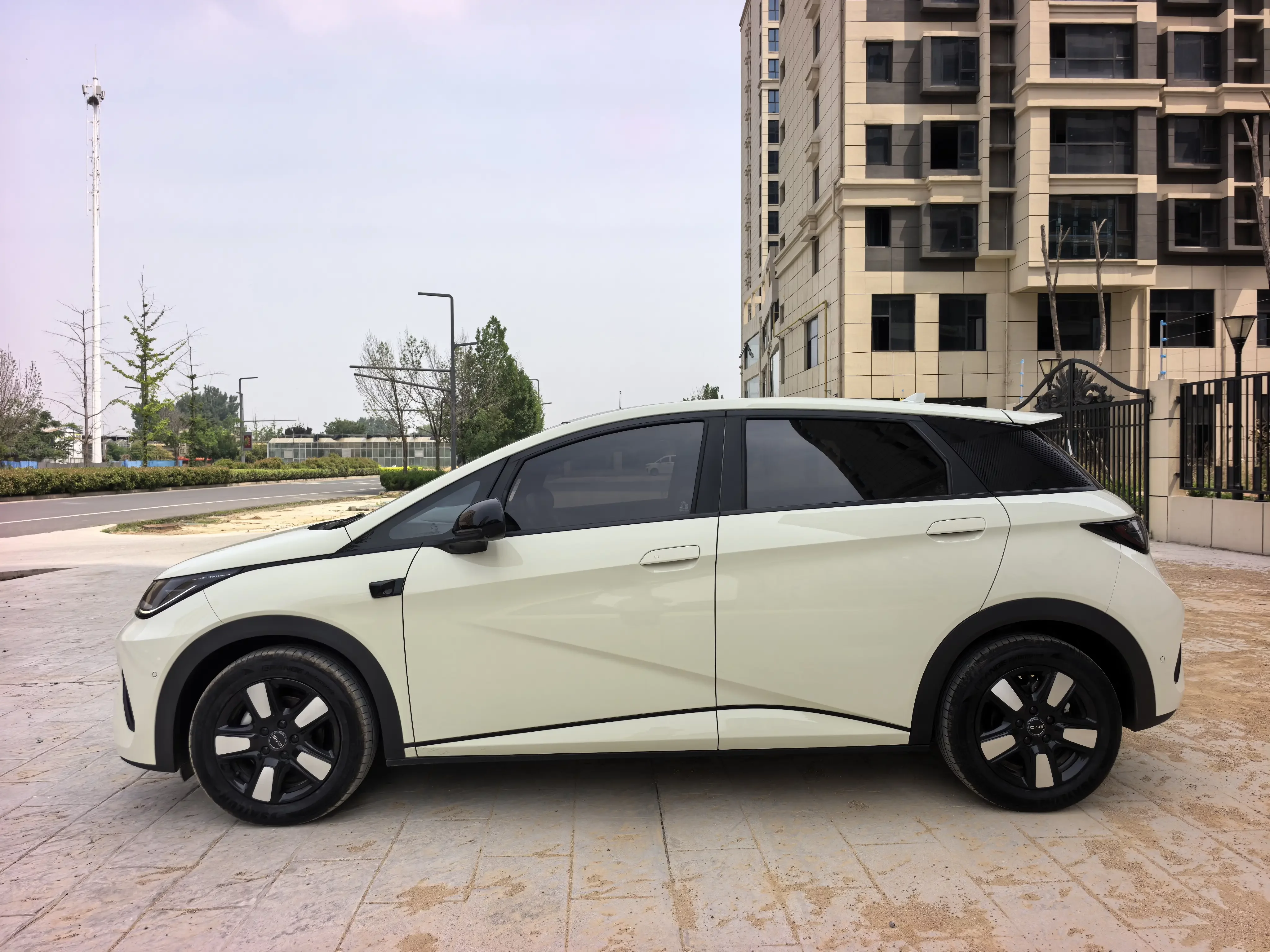BYD dolphin