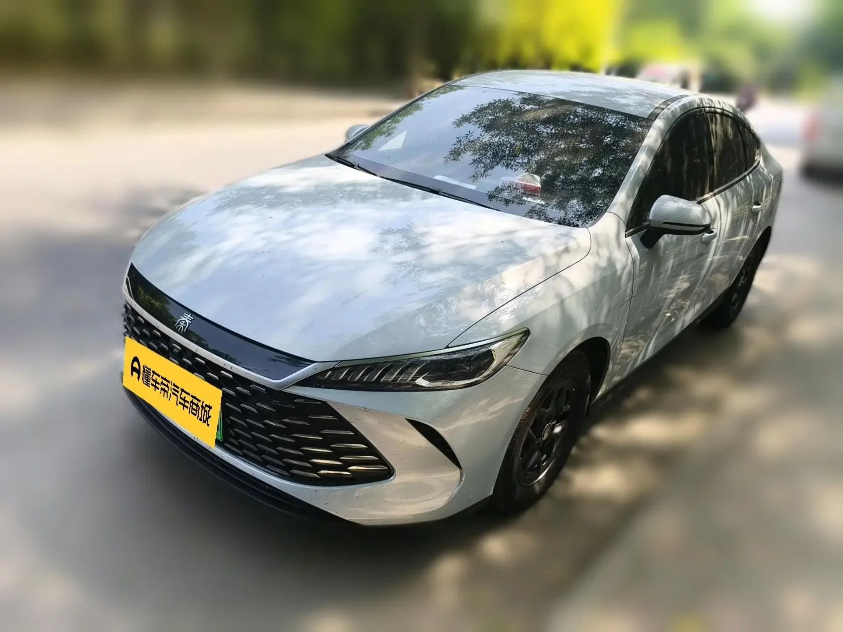 BYD Qin PLUS DM
