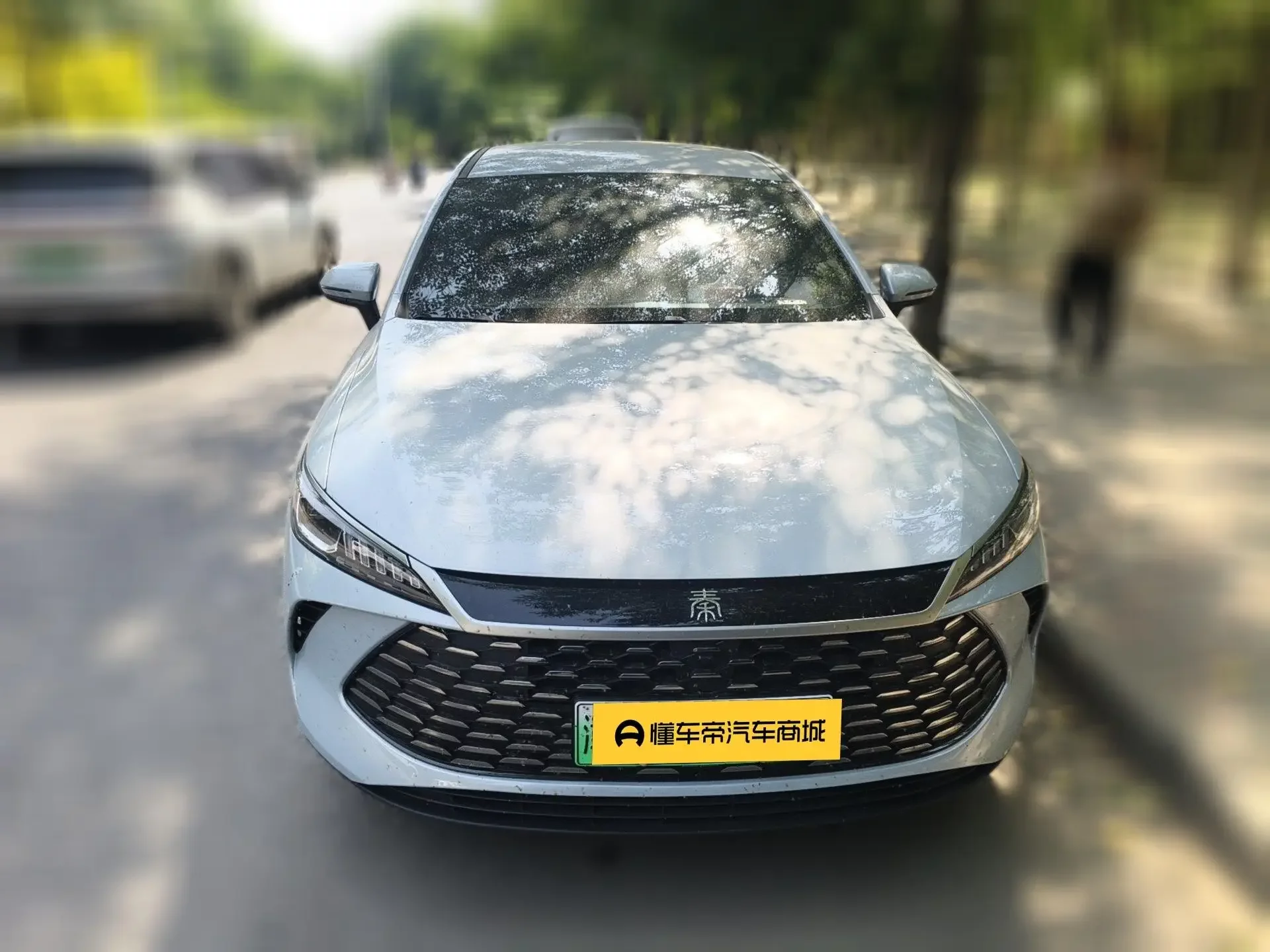 BYD Qin PLUS DM