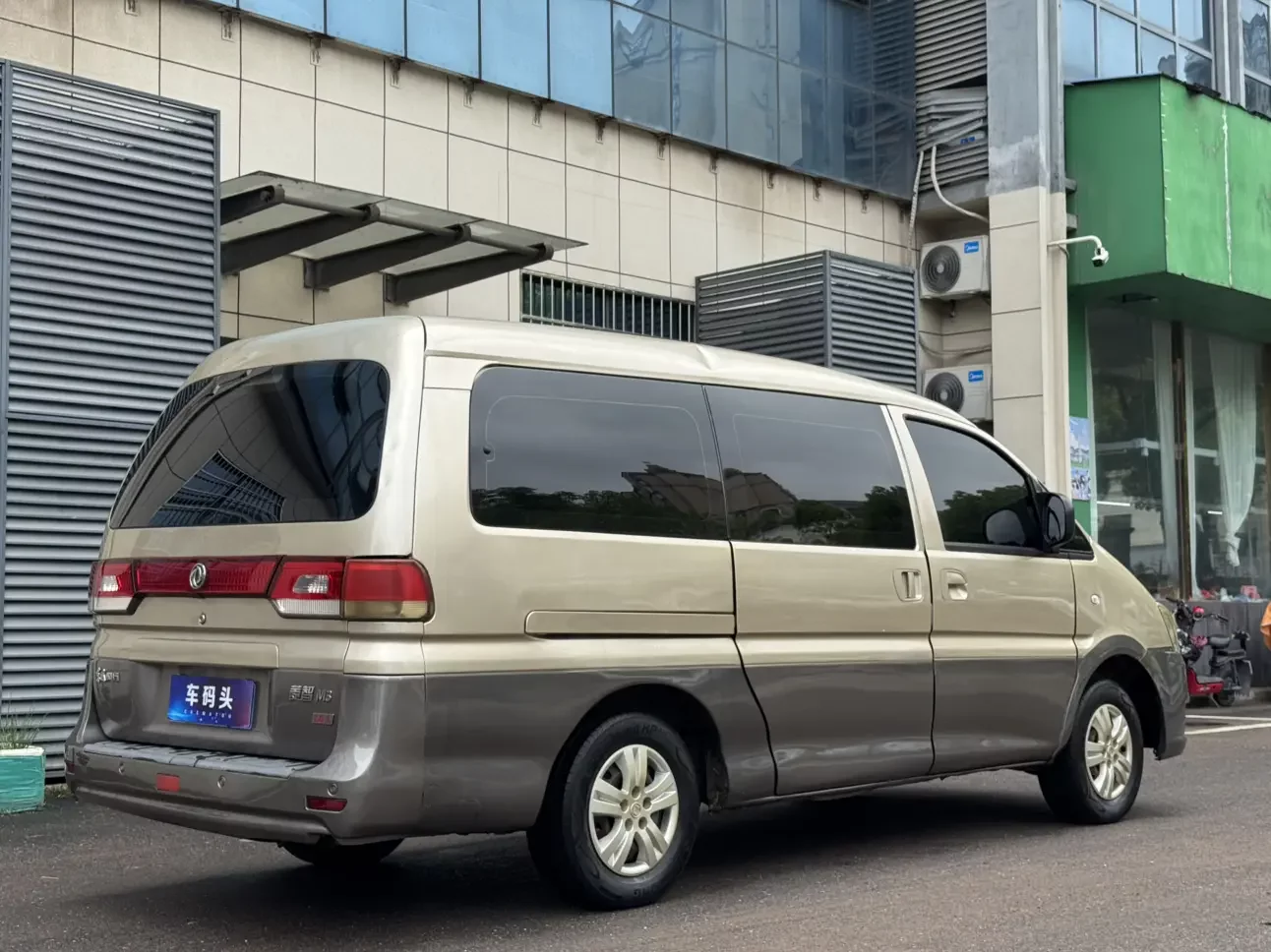 Forthing Lingzhi