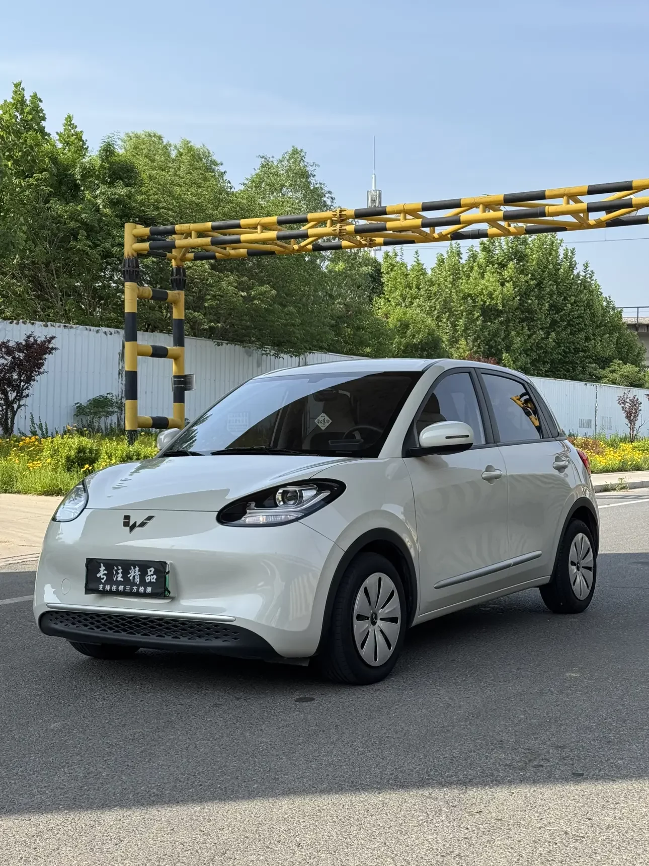 Wuling Bingo