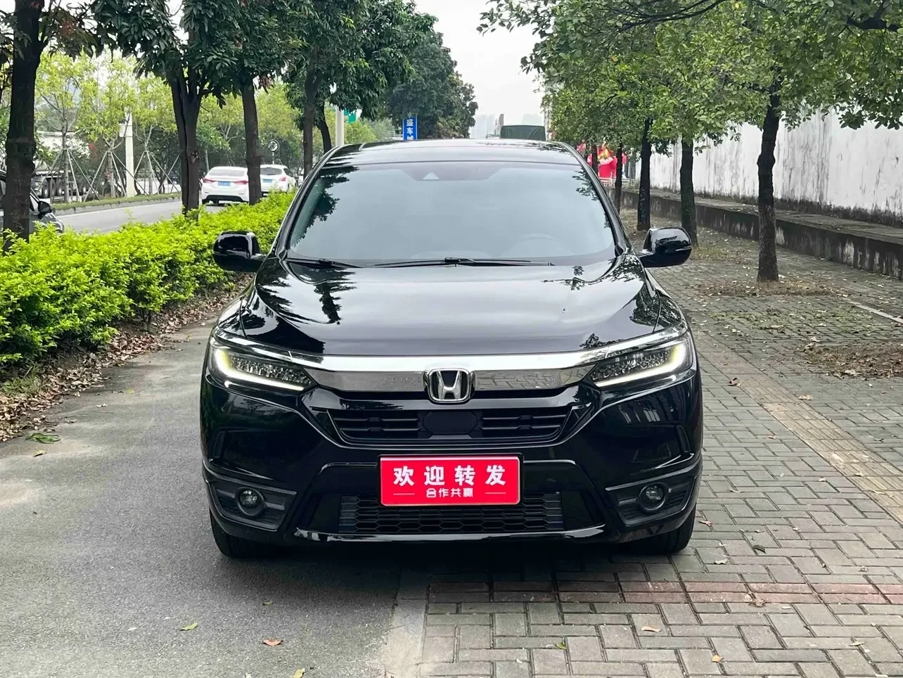 Honda Breeze