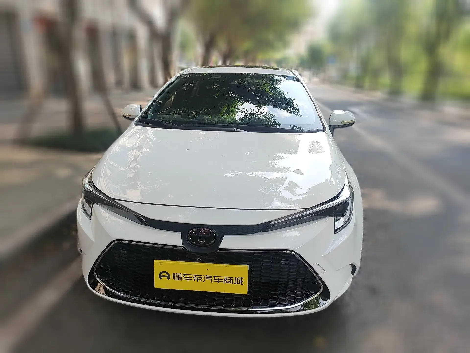 Toyota Levin