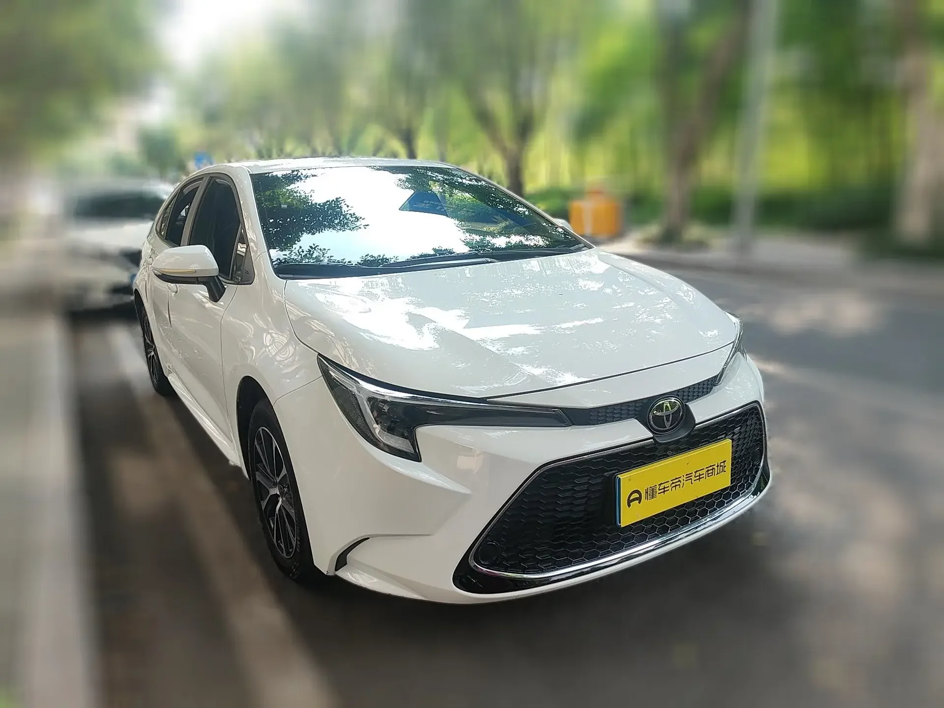 Toyota Levin