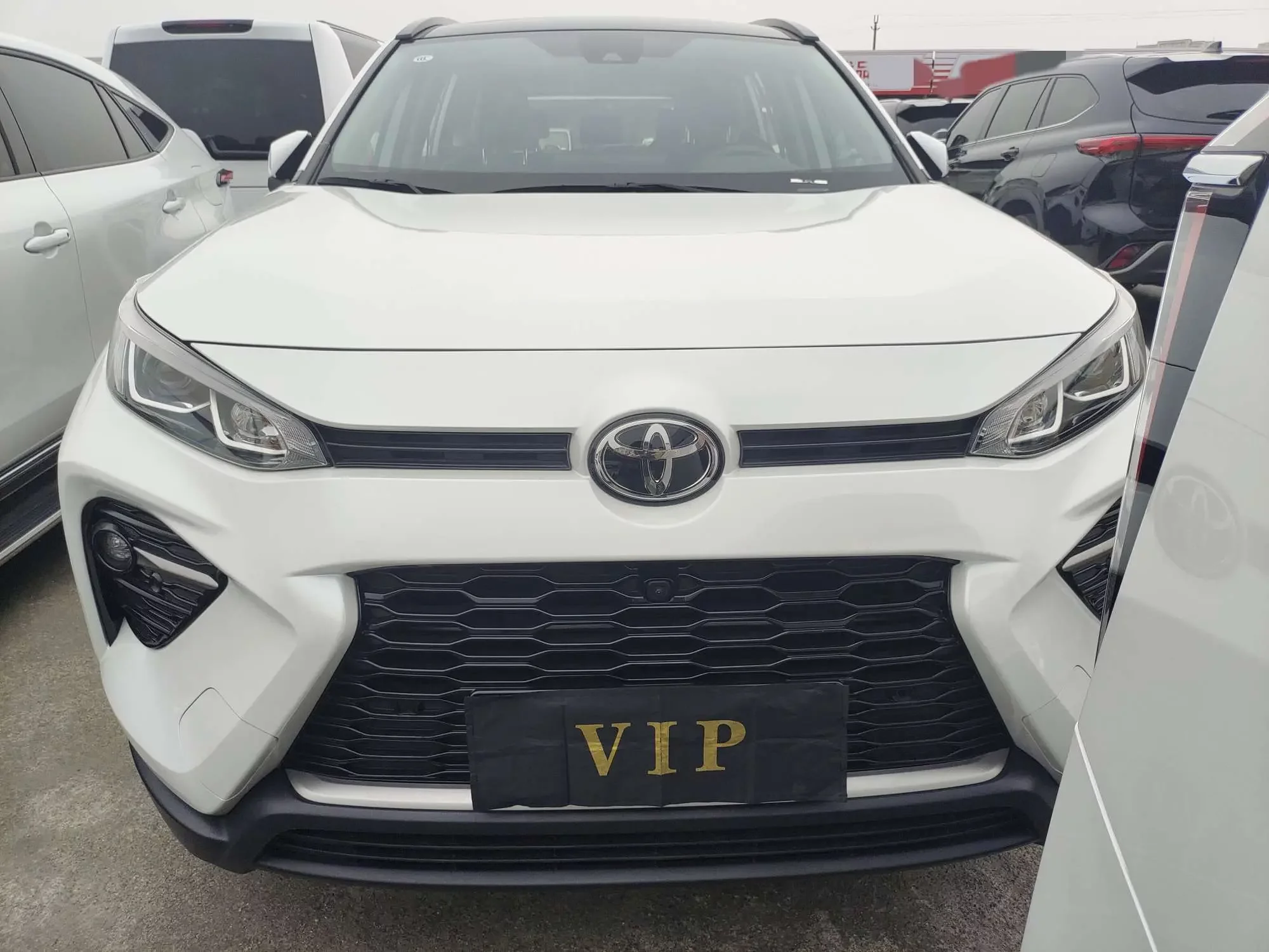 Toyota Willanda