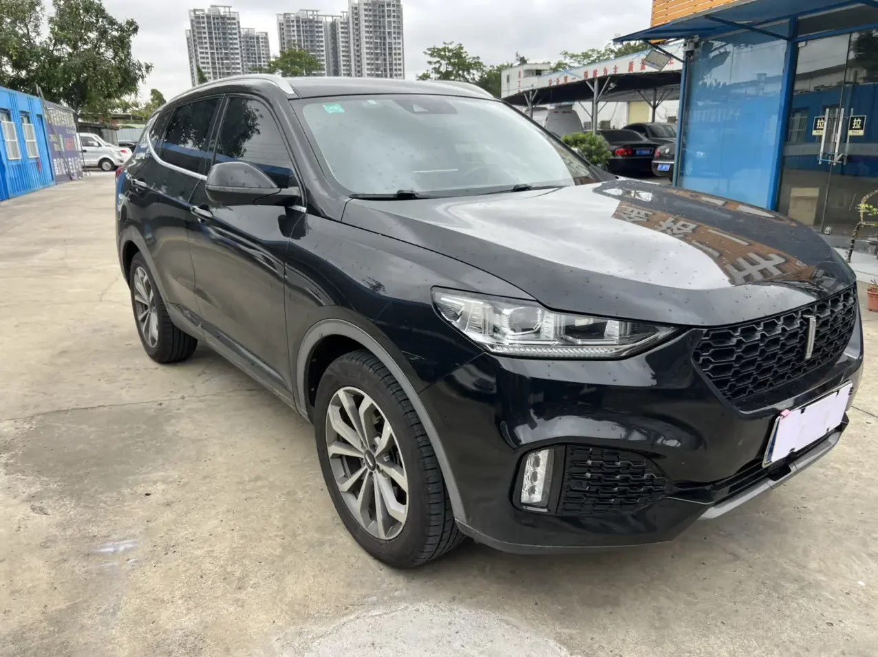Wey Wei brand VV6