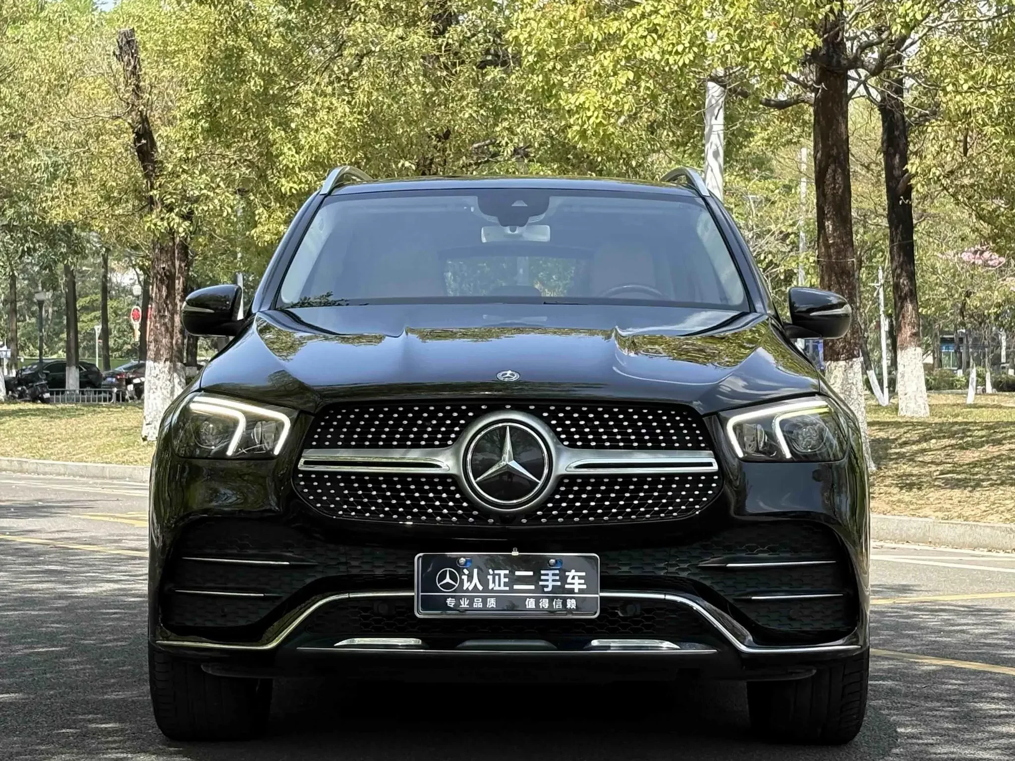 Mercedes-Benz GLE (Imported)