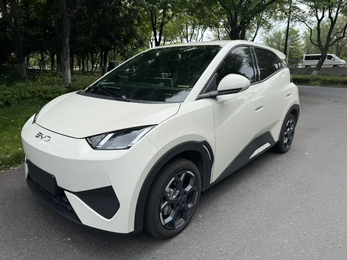 BYD seagull