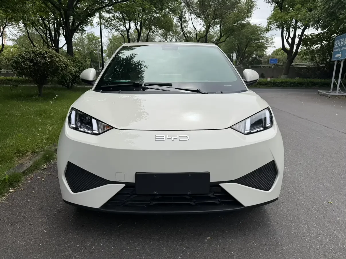 BYD seagull