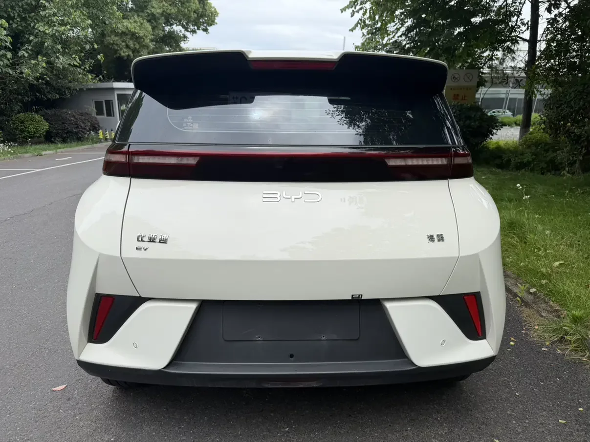BYD seagull