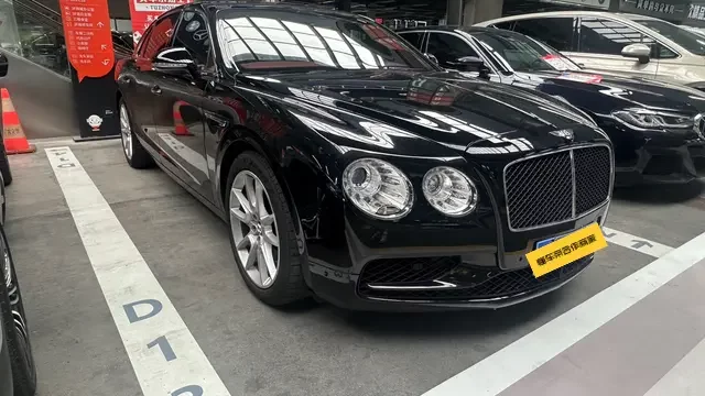 Bentley galloping