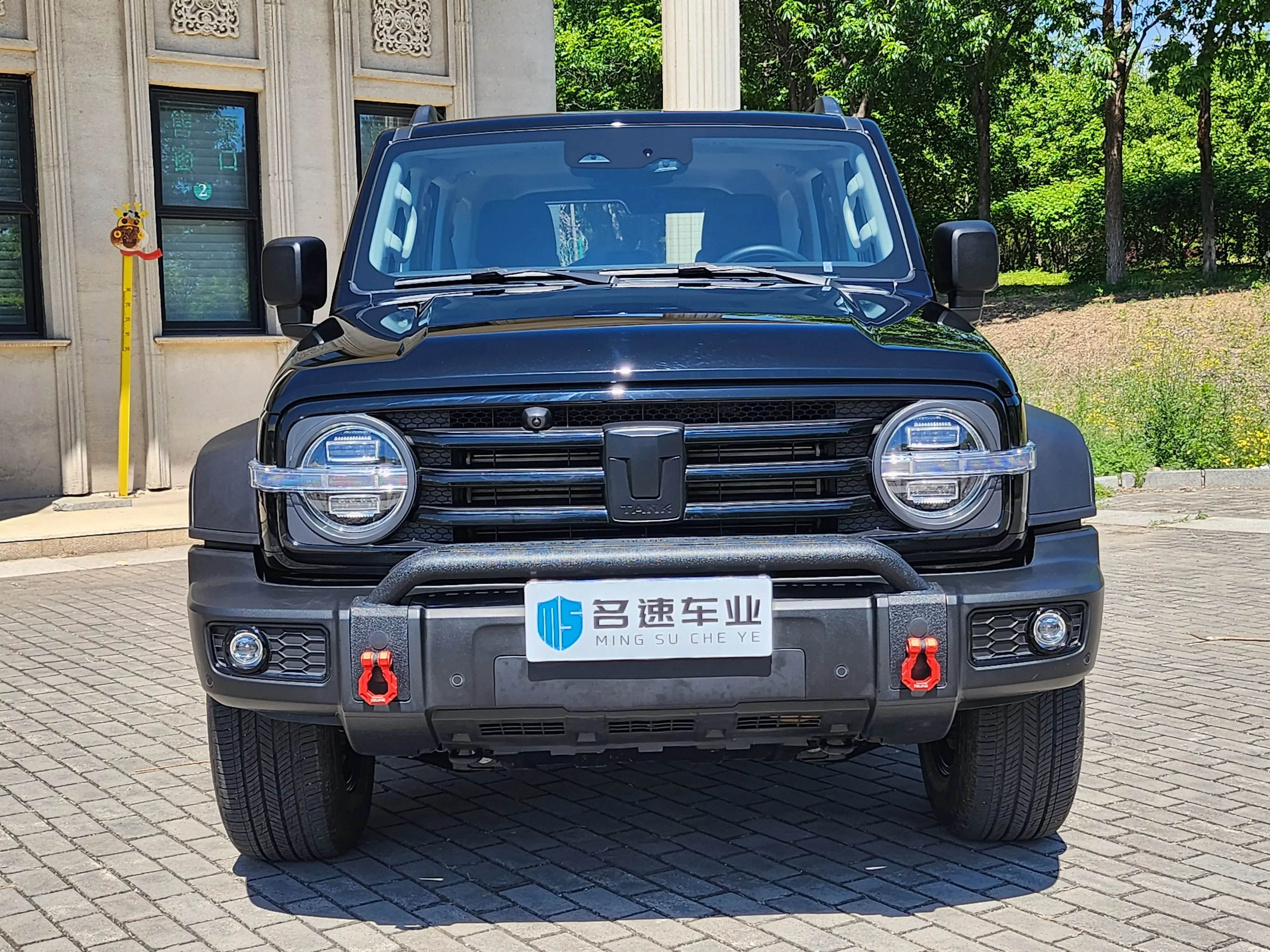 Tank 300