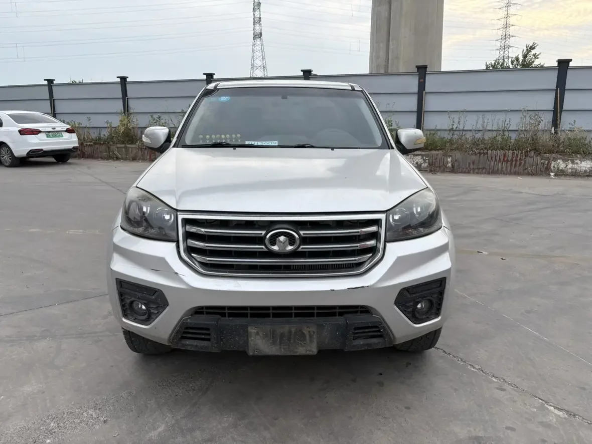 Great Wall Wing Jun 5