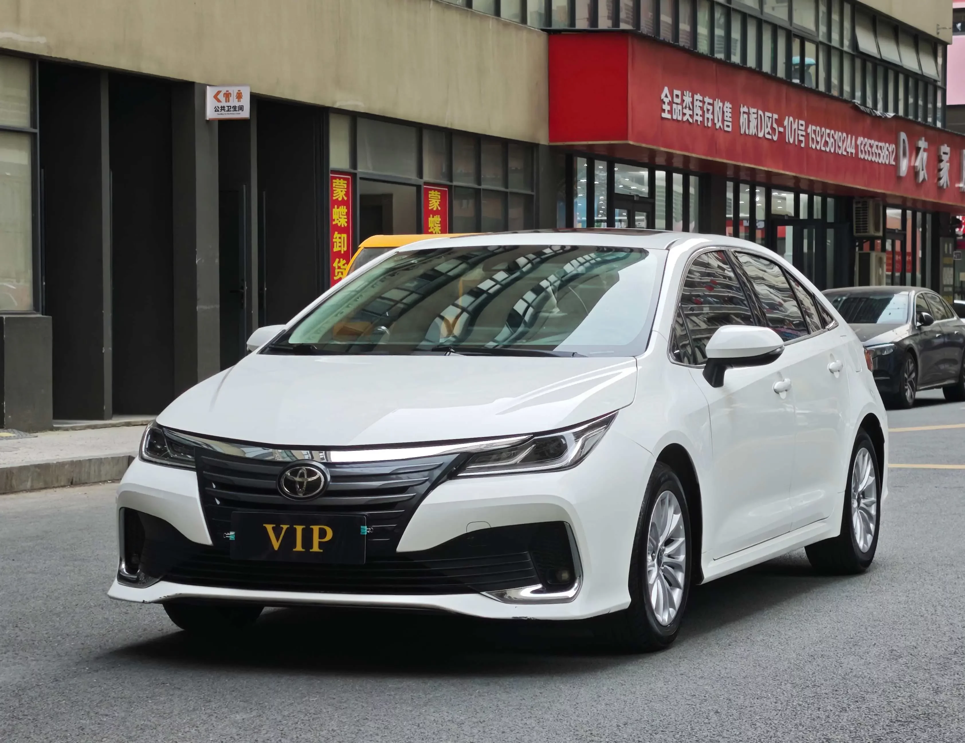 Toyota Asiatic lion