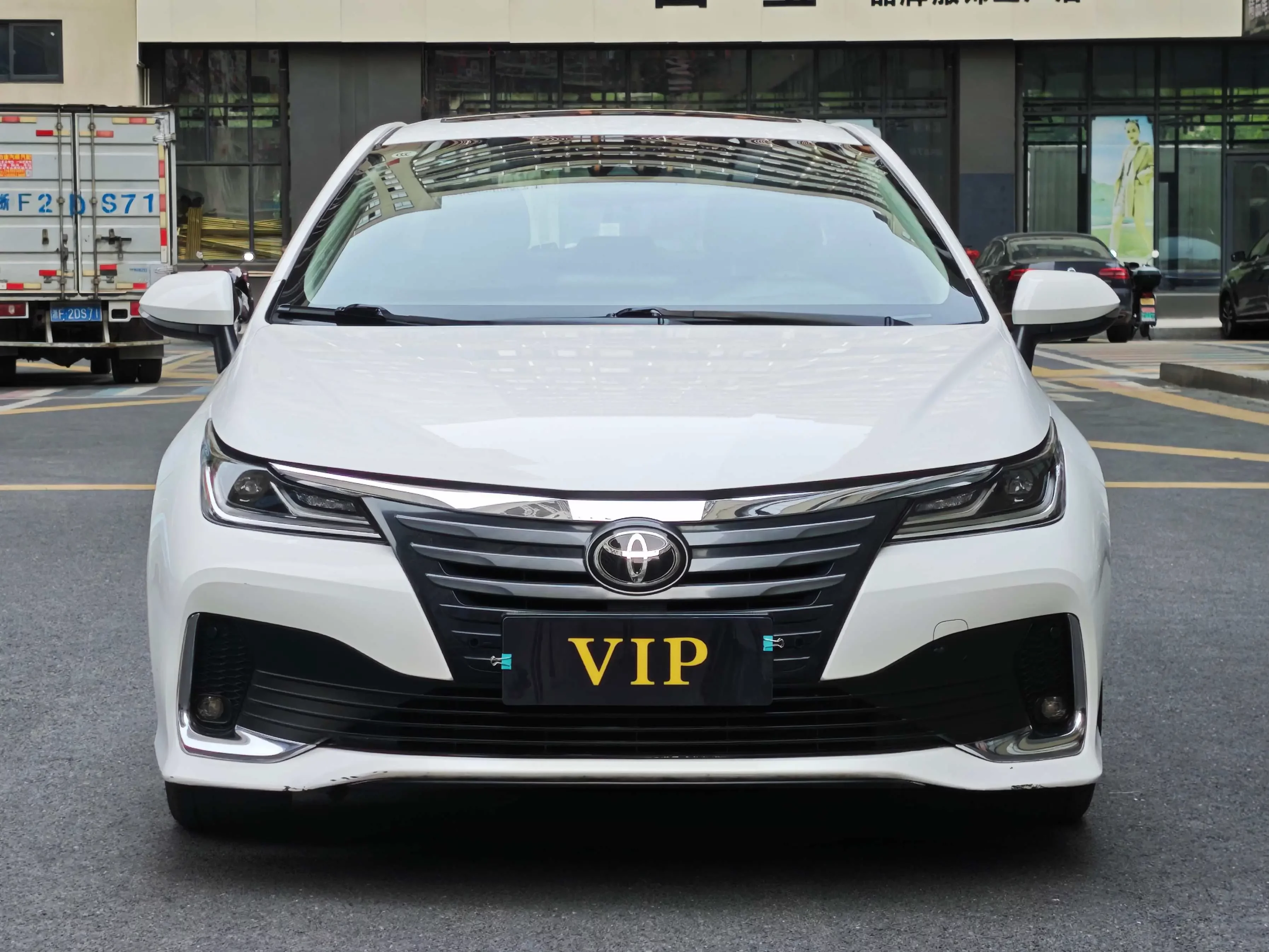 Toyota Asiatic lion