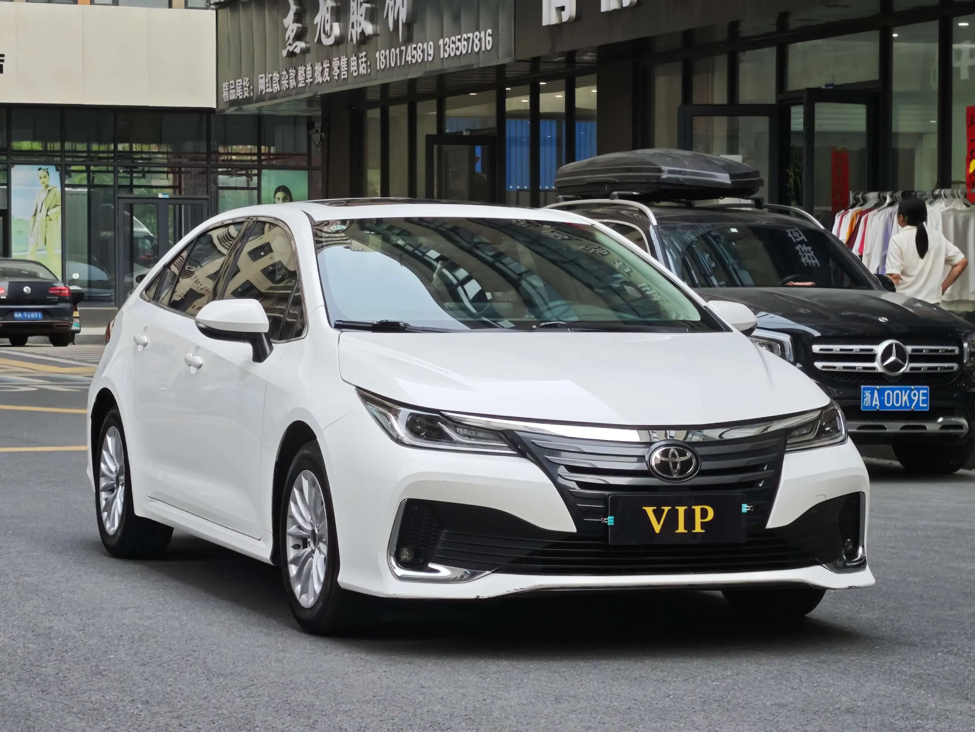Toyota Asiatic lion